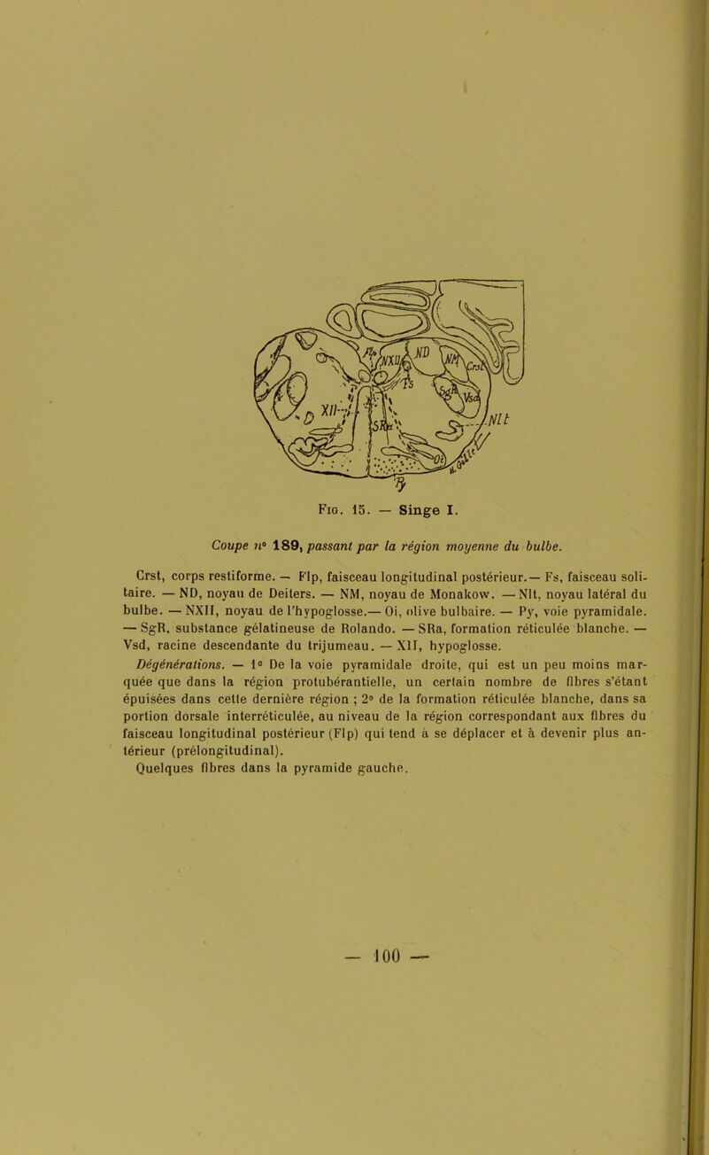 Coupe ?i° 189, passant par la région moyenne du bulbe. Crst, corps restiforme. — FIp, faisceau longitudinal postérieur.— Fs, faisceau soli- taire. — ND, noyau de Deiters. — NM, noyau de Monakow. —Nlt, noyau latéral du bulbe. — NXII, noyau de l’hypoglosse.— Oi, olive bulbaire. — Py, voie pyramidale. — SgR, substance gélatineuse de Rolando. — SRa, formation réticulée blanche. — Vsd, racine descendante du trijumeau. —XII, hypoglosse. Dé générations. — 1° De la voie pyramidale droite, qui est un peu moins mar- quée que dans la région protubérantielle, un certain nombre de fibres s’étant épuisées dans cette dernière région ; 2° de la formation réticulée blanche, dans sa portion dorsale interréticulée, au niveau de la région correspondant aux fibres du faisceau longitudinal postérieur (Flp) qui tend à se déplacer et à devenir plus an- térieur (prélongitudinal). Quelques fibres dans la pyramide gauche.