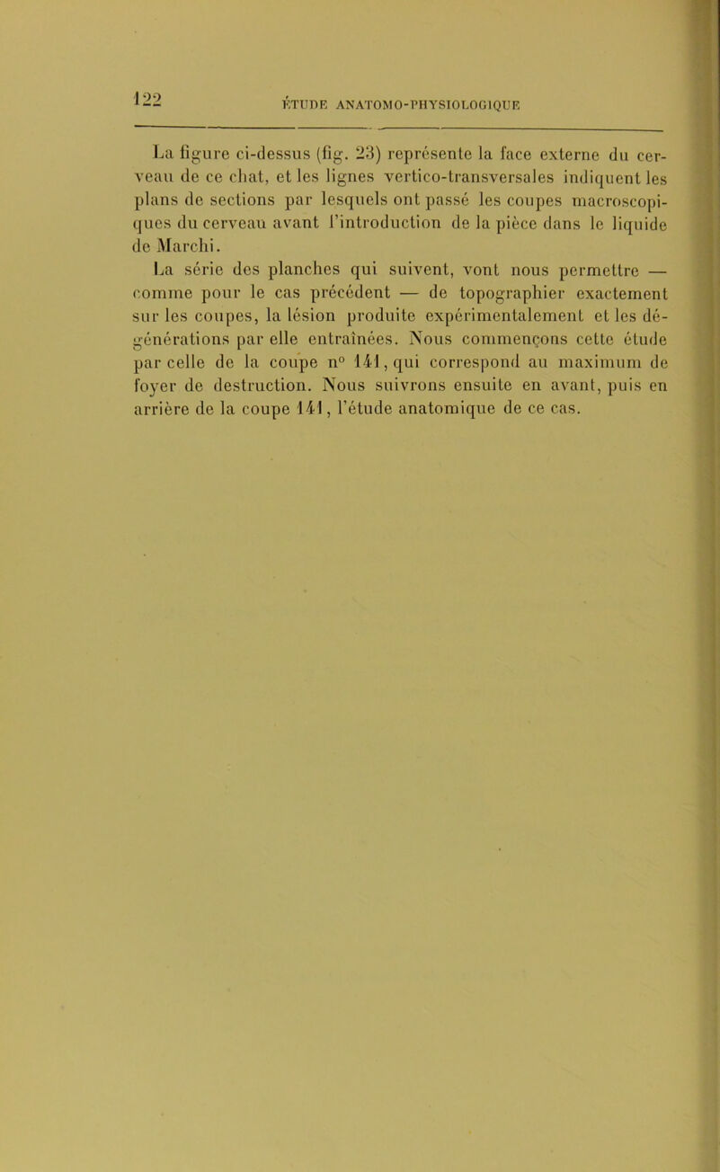 La figure ci-dessus (fig. 23) représente la face externe du cer- veau de ce chat, et les lignes vertico-transversales indiquent les plans de sections par lesquels ont passé les coupes macroscopi- ques du cerveau avant l’introduction de la pièce dans le liquide de Ma relu. La série dos planches qui suivent, vont nous permettre — comme pour le cas précédent — de topographier exactement sur les coupes, la lésion produite expérimentalement et les dé- générations par elle entraînées. Nous commençons cette étude parcelle de la coupe n° 141, qui correspond au maximum de foyer de destruction. Nous suivrons ensuite en avant, puis en arrière de la coupe 141, l’étude anatomique de ce cas.