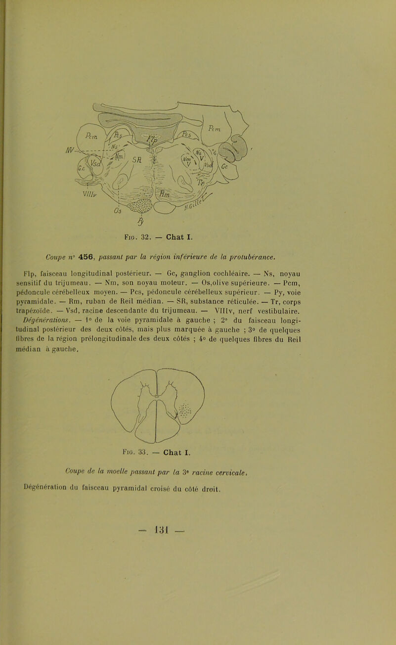 Coupe n° 456, passant par la région inférieure de la protubérance. Flp, faisceau longitudinal postérieur. — Gc, ganglion cochléaire. — Ns, noyau sensitif du trijumeau. — Nm, son noyau moteur. — Os,olive supérieure. —Pcm, pédoncule cérébelleux moyen. — Pcs, pédoncule cérébelleux supérieur. — Py, voie pyramidale. — Rm, ruban de Reil médian. — SR, substance réticulée. — Tr, corps trapézoïde. — Vsd, racine descendante du trijumeau. — VIIlv, nerf veslibulaire. Dégénéralions. — 1° de la voie pyramidale à gauche ; 2° du faisceau longi- tudinal postérieur des deux côtés, mais plus marquée à gauche ; 3° de quelques libres de la région préiongitudinale des deux côtés ; 4° de quelques fibres du Reil médian à gauche. Coupe de la moelle passant par la 3° racine cervicale. Dégénération du faisceau pyramidal croisé du côté droit.