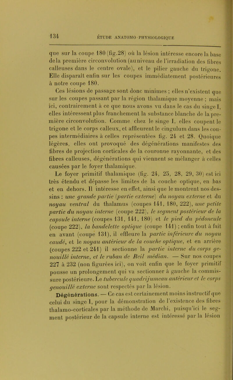 que sur la coupe 180 (fig.28) où la lésion intéresse encore la base delà première circonvolution (auniveau de l’irradiation des libres calleuses dans le centre ovale), et le pilier gauche du trigone. Elle disparaît enfin sur les coupes immédiatement postérieures à notre coupe 180. Ces lésions de passage sont donc minimes ; elles n’existent que sur les coupes passant par la région thalamique moyenne ; mais ici, contrairement à ce que nous avons vu dans Je cas du singeI, elles intéressent plus franchement la substance blanche de la pre- mière circonvolution. Comme chez le singe 1, elles coupent le trigone et le corps calleux, et affleurent le cingulum dans les cou- pes intermédiaires à celles représentées fig. 24 et 28. Quoique légères, elles ont provoqué des dégénérations manifestes des libres de projection corticales de la couronne rayonnante, et des fibres calleuses, dégénérations qui viennent se mélanger à celles causées par le foyer thalamique. Le foyer primitif thalamique (fig. 24, 25, 28, 29, 30) est ici très étendu et dépasse les limites de la couche optique, en bas et en dehors. Il intéresse en effet, ainsi que le montrent nos des- sins : une grande partie [partie externe) du noyau externe et du noyau ventral du thalamus (coupes 141, 180, 222), une petite partie du noyau interne (coupe 222), le segment postérieur de la capsule interne (coupes 131, 141, 180) et le pied du pédoncule (coupe 222), la bandelette optique (coupe 141) ; enfin tout à fait en avant (coupe 131), il effleure la partie inférieure du noyau caudé, et le noyau antérieur de la couche optique, et en arrière (coupes 222 et 241) il sectionne la partie interne du corps ge- nouillè interne, et le ruban de lie il médian. — Sur nos coupes 227 à 232 (non figurées ici), on voit enfin que le foyer primitif pousse un prolongement qui va sectionner à gauche la commis- sure postérieure. Le tubercule quadrijumeau antérieur et le corps genouillé externe sont respectés par la lésion. Dégénérations. — Ce cas est certainement moins instructif que celui du singe 1, pour la démonstration de l’existence des fibres thalamo-corticales par la méthode de Marchi, puisqu’ici le seg- ment postérieur de la capsule interne est intéressé par la lésion