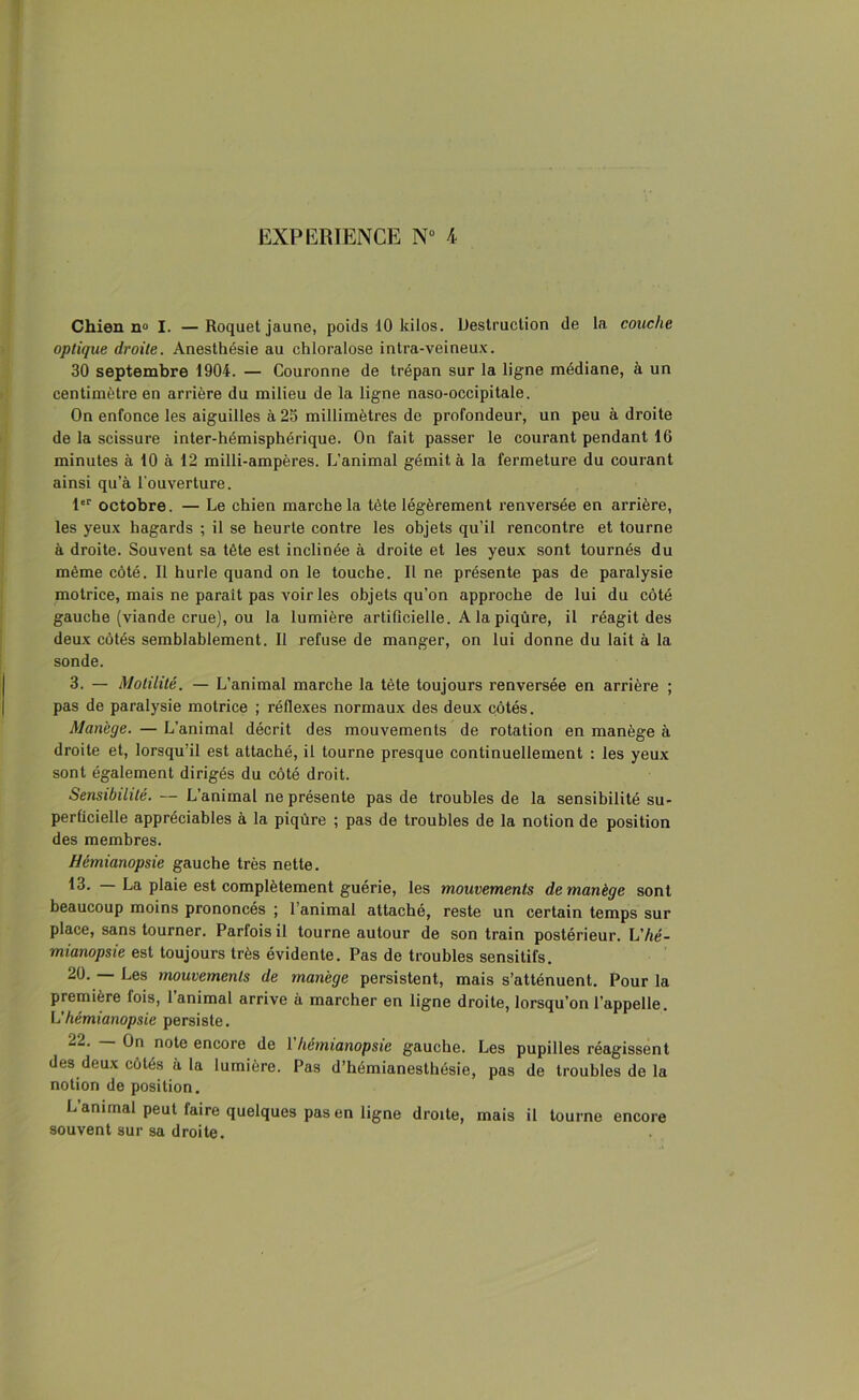 Chien n° I. —Roquet jaune, poids 10 kilos. Destruction de la couche optique droite. Anesthésie au chloralose intra-veineux. 30 septembre 1904. — Couronne de trépan sur la ligne médiane, à un centimètre en arrière du milieu de la ligne naso-occipitale. On enfonce les aiguilles à 25 millimètres de profondeur, un peu à droite de la scissure inter-hémisphérique. On fait passer le courant pendant 16 minutes à 10 à 12 milli-ampères. L’animal gémit à la fermeture du courant ainsi qu’à l'ouverture. 1er octobre. — Le chien marche la tète légèrement renversée en arrière, les yeux hagards ; il se heurte contre les objets qu’il rencontre et tourne à droite. Souvent sa tête est inclinée à droite et les yeux sont tournés du même côté. Il hurle quand on le touche. Il ne présente pas de paralysie motrice, mais ne paraît pas voir les objets qu’on approche de lui du côté gauche (viande crue), ou la lumière artificielle. A la piqûre, il réagit des deux côtés semblablement. Il refuse de manger, on lui donne du lait à la sonde. 3. — Motilité. — L’animal marche la tète toujours renversée en arrière ; pas de paralysie motrice ; réflexes normaux des deux côtés. Manège. — L’animal décrit des mouvements de rotation en manège à droite et, lorsqu'il est attaché, il tourne presque continuellement : les yeux sont également dirigés du côté droit. Sensibilité. — L’animal ne présente pas de troubles de la sensibilité su- perficielle appréciables à la piqûre ; pas de troubles de la notion de position des membres. Hémianopsie gauche très nette. 13. La plaie est complètement guérie, les mouvements de manège sont beaucoup moins prononcés ; l’animal attaché, reste un certain temps sur place, sans tourner. Parfois il tourne autour de son train postérieur. hé- mianopsie est toujours très évidente. Pas de troubles sensitifs. 20. — Les mouvements de manège persistent, mais s’atténuent. Pour la première lois, 1 animal arrive à marcher en ligne droite, lorsqu’on l’appelle. L'hémianopsie persiste. Ûn note encore de 1 hémianopsie gauche. Les pupilles réagissent des deux côtés à la lumière. Pas d’hémianesthésie, pas de troubles de la notion de position. L’animal peut faire quelques pas en ligne droite, mais il tourne encore souvent sur sa droite.