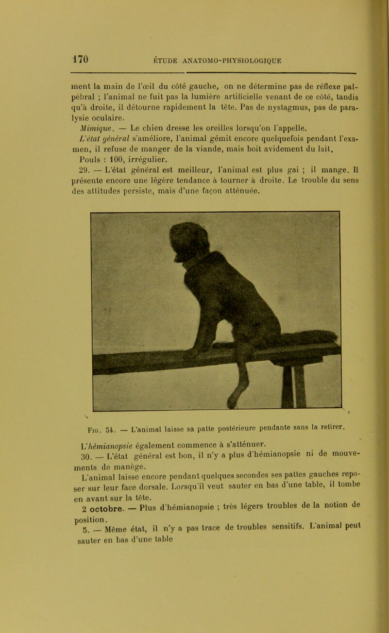 ment la main de l’œil du côté gauche, on ne détermine pas de réflexe pal- pébral ; l’animal ne fuit pas la lumière artificielle venant de ce côté, tandis qu’à droite, il détourne rapidement la tète. Pas de nystagmus, pas de para- lysie oculaire. Mimique. — Le chien dresse les oreilles lorsqu’on l'appelle. L'état général s’améliore, l’animal gémit encore quelquefois pendant l’exa- men, il refuse de manger de la viande, mais boit avidement du lait. Pouls : 100, irrégulier. 29. — L’état général est meilleur, l'animal est plus gai ; il mange. Il présente encore une légère tendance à tourner à droite. Le trouble du sens des attitudes persiste, mais d’une façon atténuée. Fig. 54. — L’animal laisse sa patle postérieure pendante sans la retirer. \jhémianopsie également commence à s’atténuer. 30. — L’état général est bon, il n’y a plus d'hémianopsie ni de mouve- ments de manège. L'animal laisse encore pendant quelques secondes ses pattes gauches repo- ser sur leur face dorsale. Lorsqu'il veut sauter en bas d’une table, il tombe en avant sur la tête. 2 octobre. — Plus d’hémianopsie ; très légers troubles de la notion de position. . r, . . 5_ Môme état, il n’y a pas trace de troubles sensitifs. L animal peut sauter en bas d’une table