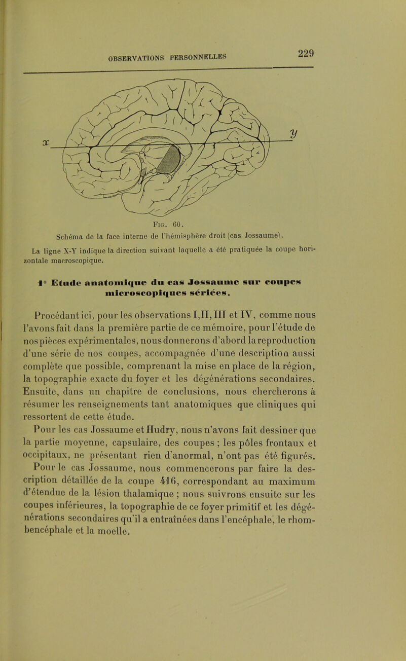 Schéma de la face interne de l’hémisphère droit (cas Jossaume). La ligne X-Y indique la direction suivant laquelle a été pratiquée la coupe hori- zontale macroscopique. f » Etude anatomique du cas Jossaume sue coupes microscopiques sériées. Procédant ici, pour les observations I,II, III et IV, comme nous l’avons fait dans la première partie de ce mémoire, pour l’étude de nospièces expérimentales, nous donnerons d’abord la reproduction d’une série de nos coupes, accompagnée d’une description aussi complète que possible, comprenant la mise en place de la région, la topographie exacte du foyer et les dégénérations secondaires. Ensuite, dans un chapitre de conclusions, nous chercherons à résumer les renseignements tant anatomiques que cliniques qui ressortent de cette étude. Pour les cas Jossaume etHudry, nous n’avons fait dessiner que la partie moyenne, capsulaire, des coupes ; les pôles frontaux et occipitaux, ne présentant rien d'anormal, n’ont pas été figurés. Pour le cas Jossaume, nous commencerons par faire la des- cription détaillée de la coupe 416, correspondant au maximum d’étendue de la lésion thalamique ; nous suivrons ensuite sur les coupes inférieures, la topographie de ce foyer primitif et les dégé- nérations secondaires qu'il a entraînées dans l’encéphale, le rhom- bencéphale et la moelle.