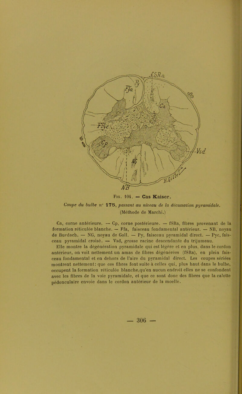 Coupe du bulbe n 175, passant au niveau de la décussation pyramidale. (Méthode de Marchi.) Ca, corne antérieure. — Cp, corne postérieure. — fSRa, fibres provenant de la formation réticulée blanche. — Ffa, faisceau fondamental antérieur. — NB, noyau de Burdach. — NG, noyau de Goll. — Py, faisceau pyramidal direct. — Pyc, fais- ceau pyramidal croisé. — Vsd, grosse racine descendante du trijumeau. Elle montre la dégénération pyramidale qui est légère et en plus, dans le cordon antérieur, on voit nettement un amas de fibres dégénérées (fSRa), en plein fais- ceau fondamental et en dehors de l’aire du pyramidal direct. Les coupes sériées montrent nettement: que ces fibres font suite à celles qui, plus haut dans le bulbe, occupent Information réticulée blanche,qu’en aucun endroit elles ne se confondent avec les fibres de la voie pyramidale, et que ce sont donc des fibres que la calotte pédonculaire envoie dans le cordon antérieur de la moelle.