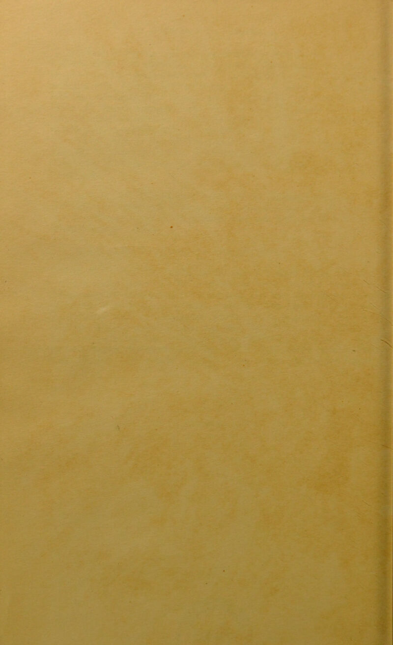 \ X