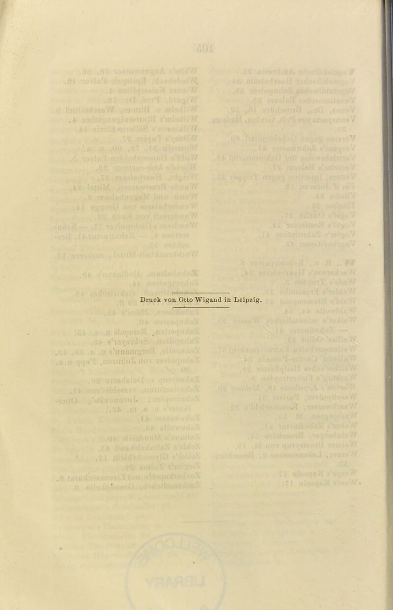 Druck von Otto Wigand in Leipzig.