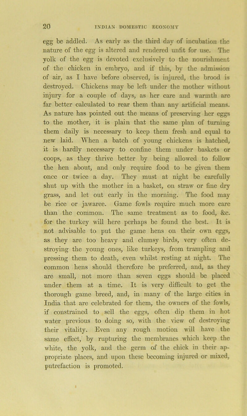 egg be addled. As early as the third day of incubation the natru’e of the egg is altered and rendered unfit for use. The yolk of the egg is devoted exclusively to the nourishment of the ehieken in embryo, and if this, by the admission of air, as I have before observed, is injured, the brood is destroyed. Chickens may be left under the mother M'ithout injury for a couple of days, as her care and n-armth are fai’ better calculated to rear them than any artificial means. As nature has pointed out the means of preseming her eggs to the mother, it is plain that the same plan of turning them daily is necessary to keep them fresh and equal to new laid. When a batch of young chickens is hatched, it is hardly necessary to confine them under baskets or coops, as they thrive better by being allowed to follow the hen about, and only require food to be given them once or twice a day. They must at night be carefully shut up with the mother in a basket, on straw or fine dry grass, and let out early in the morning. Tlie food may be rice or jawaree. Game fowls requfre much more care than the common. The same treatment as to food, &c. for the tiu’key will here perhaps be found the hest. It is not advisable to put the game hens on their owm eggs, as they are too hea\-y and clmnsy birds, very often de- stroying the young ones, hke turkeys, from trampling and pressing them to death, even whilst resting at night. The common hens should therefore be preferred, and, as they are small, not more than seven eggs should be placed under them at a time. It is very diffierdt to get the thorough game breed, and, in many of the large cities in India that are celebrated for them, the OAvners of the fowls, if constrained to sell the eggs, often dip them in hot water previous to doing so, Avith the Gew of destroying their vitahty. Even any rough motion will haA’e the same effect, by ruptm-mg the membranes which keep the white, the yolk, and the germ of the chick in their ap- propriate places, and upon these becoming injured or mixed, putrefaction is promoted.