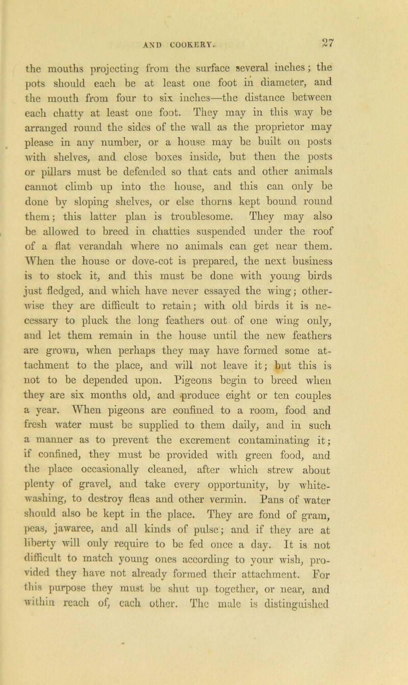 the mouths projecting from the surface several inches; the pots should each be at least one foot in diameter, and the mouth from four to six inches—the distance between each chatty at least one foot. They may in this Avay be arranged round the sides of the wall as the proprietor may please in any number, or a house may be built on posts ■with shelves, and close boxes inside, but then the posts or pillars must be defended so that cats and other animals cannot climb up into the house, and this can only be done by sloping shelves, or else thorns kept bound roimd them; this latter plan is troublesome. They may also be allowed to breed in chatties suspended under the roof of a flat verandah where no animals can get near them. When the house or dove-cot is prepared, the next business is to stock it, and this must be done with young birds just fledged, and which have never essayed the wing; other- Avise they are difficult to retain; with old birds it is ne- cessary to pluck the long feathers out of one wing only, and let them remain in the house until the new feathers are grown, when perhaps they may have formed some at- tachment to the place, and will not leave it; but this is not to be depended upon. Pigeons begin to breed when they are six months old, and produce eight or ten couples a year, ^\^xen pigeons are confined to a room, food and fresh Avater must be supplied to them daily, and in such a manner as to prevent the excrement contaminating it; if confined, they must be provided with green food, and the place occasionally cleaned, after which strew about plenty of gravel, and take every opportunity, by white- Avashing, to destroy fleas and other vermin. Pans of water shoidd also be kept in the place. They are fond of gram, peas, jawaree, and all kinds of pulse; and if they are at liberty will only require to be fed once a day. It is not difficult to match young ones according to your wish, pro- vided they have not already formed their attachment. For this purpose they must Ijc shut up togcthci’, or near, and Avithin reach of, each other. The male is distinguished