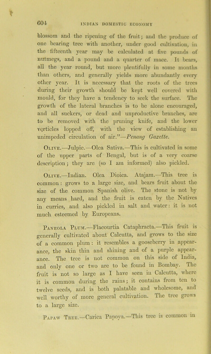blossom and tlie ripening of the fruit; and the produce of one bearing tree with another, under good cultivation, in tlie iifteenth year may be calculated at five jiounds of nutmegs, and a pound and a quarter of mace. It liears, all the year round, but more plentifully in some months than others, and generally yields more abundantly every other year. It is necessaiy that the roots of tlie trees during their growth should be kept well covered with mould, for they have a tendency to seek the surface. The growth of the lateral branches is to be alone encouraged, and all suckers, or dead and unproductive branches, are to be removed with the pruning knife, and the lower verticles lopped off, with the view of establishing an unimpeded circulation of air.”—Penang Gazette. Olive.—Julpie.—Olea Sativa.—This is cultivated in some of the upper parts of Bengal, but is of a very coarse description; they are (so I am informed) also pickled. Olive.—Indian. Olea Dioica. Atajam.—This tree is common : grows to a large size, and bears fruit about the size of the common Spanish olive. The stone is not by any means hard, and the fruit is eaten by the Natives in curries, and also pickled in salt and water: it is not much esteemed by Eiu’opeans. Paneola Plum.—Placourtia Catapliracta.—This fruit is generally cultivated about Calcutta, and grows to the size of a eommon plum : it resembles a gooseberry in appear- ance, the skin thin and shining and of a purple appear- ance. The tree is not common on this side of India, and only one or two are to be found in Bombay. The fruit is not so large as I have seen in Calcutta, uherc it is common during the rains; it contains from ten to twelve seeds, and is both palatable and wholesome, and well worthy of more general cultivation. The tree grows to a large size. Pap AW Tree.—Carica Panova.—This tree is common in