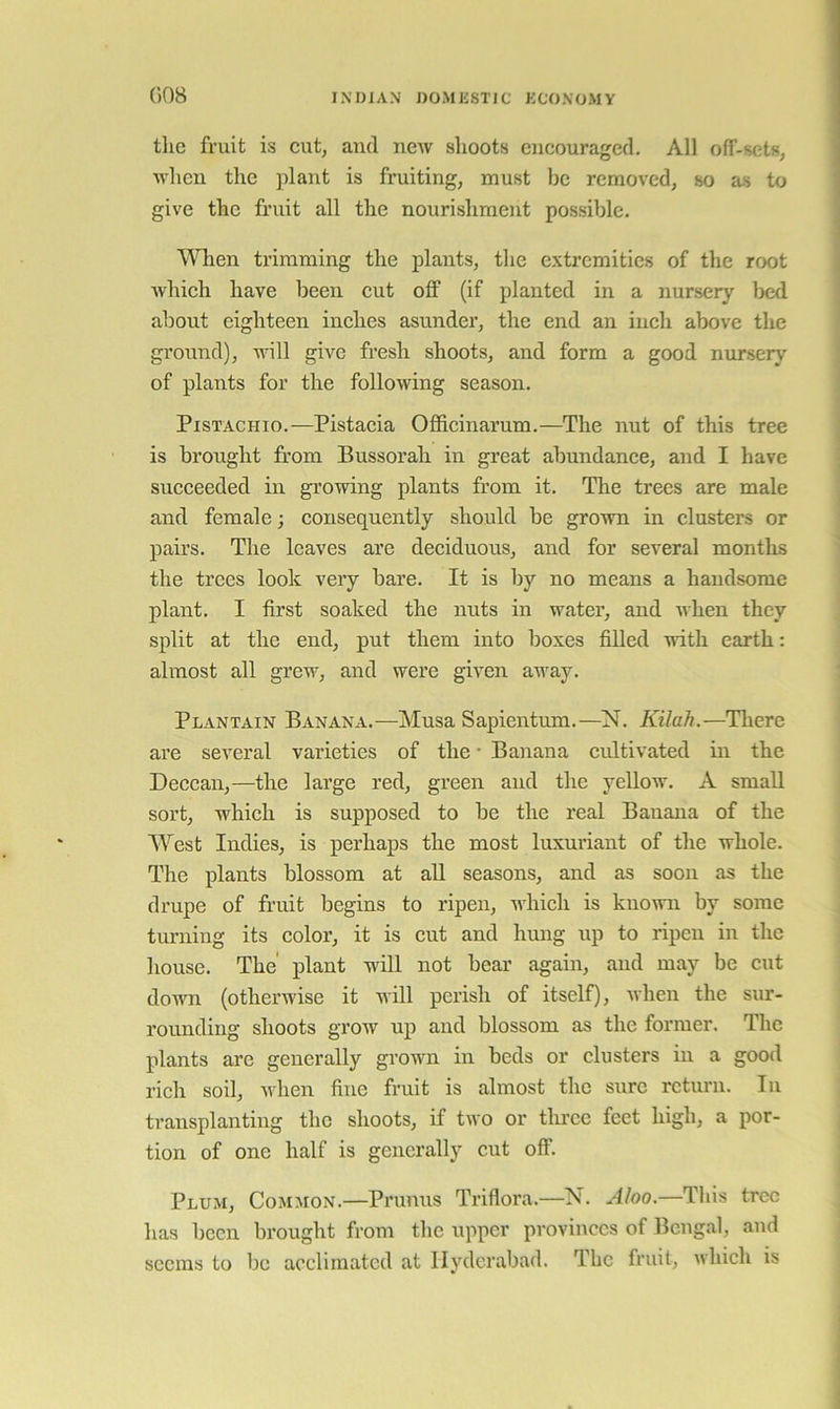 tlic fruit is cut, and new shoots encouraged. All off-sets, when the plant is fruiting, must be removed, so as to give the fruit all the nourishment possible. 'WHien trimming the plants, the extremities of the root which have been cut off (if planted in a nursery Ijcd about eighteen inches asunder, the end an inch above the ground), \idll give fresh shoots, and form a good nur.sery of plants for the following season. Pistachio.—Pistacia Officinarum.—The nut of this tree is brought from Bussorah in great abundance, and I have succeeded in gi’owing plants from it. The trees are male and female; consequently should be grown in clusters or pairs. The leaves are deciduous, and for several months the trees look very bare. It is by no means a handsome plant. I first soaked the nuts in water, and ivhen they split at the end, put them into boxes filled with earth: almost all grew, and were given away. Plantain Banana.—Musa Sapientum.—N. Kilah.—Tliere are several varieties of the • Banana cidtivated in the Deccan,—the large red, green and the yellow. A small sort, which is supposed to be the real Banana of the West Indies, is perhaps the most luxuriant of the whole. The plants blossom at aU seasons, and as soon as the drupe of fruit begins to ripen, which is kno\vn by some turning its color, it is cut and hung up to ripen in the house. The' plant will not bear again, and may be cut dovm (otherwise it will perish of itself), when the sur- rounding shoots grow up and blossom as the former. The plants are generally grown in beds or clusters in a good rich soil, when fine fruit is almost the sure return. In transplanting the shoots, if two or tlu’cc feet high, a por- tion of one half is generally cut off. Plum, Common.—Primus Triflora.—N. AIoo.—This tree has been brought from the upper provinces of Bengal, and seems to be acclimated at Hyderabad. The fruit, which is