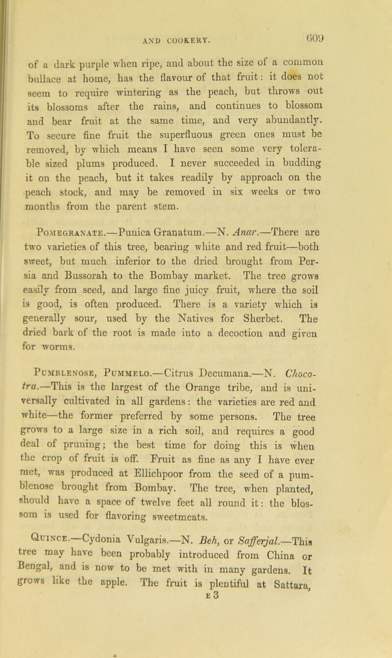 of a dark purple u licn ripe, and about the size of a common buUace at home, has the flavour of that fruit: it does not seem to require Tvintering as the peach, but throws out its blossoms after the rains, and continues to blossom and bear fruit at the same time, and very abundantly. To secure fine fruit the superfluous green ones must be removed, by which means I have seen some very tolera- ble sized plums produced. I never succeeded in budding it on the peach, but it takes readily by approach on the peach stock, and may be removed in six weeks or two months from the parent stem. Pomegranate.—Punica Granatum.—N. Anar.—There are two varieties of this tree, bearing white and red fruit—both sweet, but much inferior to the dried brought from Per- sia and Bussorah to the Bombay market. The tree grows easily from seed, and large fine juicy fruit, where the soil is good, is often produced. There is a variety which is generally soui*, used by the Natives for Sherbet. The dried bark of the root is made into a decoction and given for worms. PuMBLENosE, PuMMELo.—Citrus Dccumana.—N. Choco- tnu.—This is the largest of the Orange tribe, and is uni- versally cultivated in all gardens: the varieties are red and white—the former preferred by some persons. The tree grows to a large size in a rich soil, and requires a good deal of pruning; the best time for doing this is when the crop of fruit is off*. Fruit as fine as any I have ever met, was produced at Ellichpoor from the seed of a pum- blenose brought from Bombay. The tree, when planted, should have a space of twelve feet all round it: the blos- som is used for flavoring sweetmeats. Quince.—Cydonia Vulgaris.—N. Beh, or Safferjal.—This tree may have been probably introduced from China or Bengal, and is now to be met with in many gardens. It grows like the apple. The fruit is plentiful at Sattara,