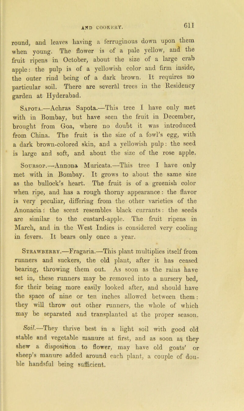round, and leaves having a ferruginous down upon them when yonng. The flower is of a pale yellow, and the fruit ripens in October, about the size of a large crab apple: the pulp is of a yellowish color and firm inside, the outer rind being of a dark brown. It requires no particular soil. There are several trees in the Residency garden at Hyderabad. Sapota.—Achras Sapota.—This tree I have only met with in Bombay, but have seen the fruit in December, brought from Goa, where no doubt it was introduced from China. The fruit is the size of a fowl’s egg, with a dark brown-colored skin, and a yellowish pulp: the seed is large and soft, and about the size of the rose apple. SouRsop.—Annona Muricata.—This tree I have only met with in Bombay. It grows to about the same size as the bullock’s heart. The fruit is of a greenish color when ripe, and has a rough thorny appearance: the flavor is very peculiar, differing from the other varieties of the Anonacia: the scent resembles black currants: the seeds are similar to the custard-apple. The fruit ripens in March, and in the West Indies is considered very cooling in fevers. It bears only once a year. Strawberry.—Fragaria.—This plant multiplies itself from runners and suckers, the old plant, after it has ceased bearing, throwing them out. As soon as the rains have set in, these runners may be removed into a nursery bed, for their being more easily looked after, and should have the space of nine or ten inches allowed between them: they win throw out other runners, the whole of which may be separated and transplanted at the proper season. Soil.—They thrive best in a light soil with good old stable and vegetable manure at first, and as soon as they shew a disposition to flower, may have old goats’ or sheep’s manure added around each plant, a couple of dou- ble handsful being sufficient.