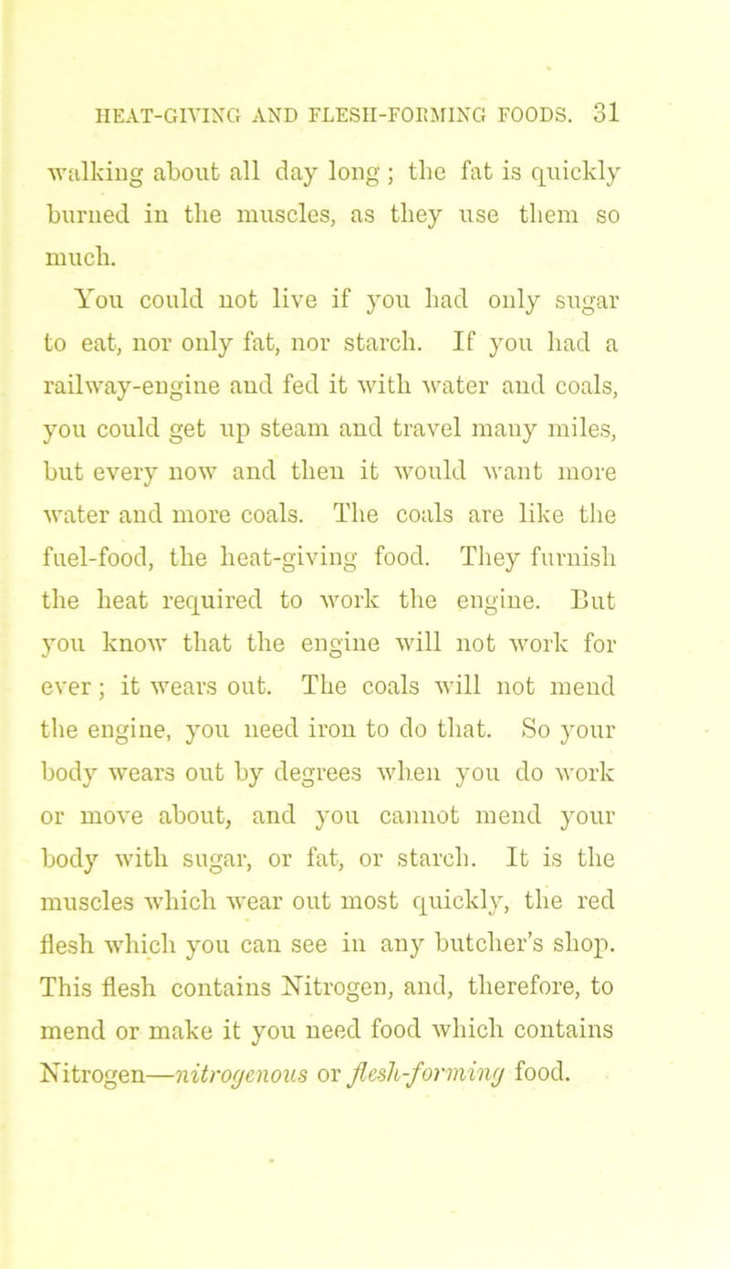 walking about all day long ; the fat is quickly burned in the muscles, as they use them so much. You could not live if you had only sugar to eat, nor only fat, nor starch. If you had a railway-engine and fed it with water and coals, you could get up steam and travel many miles, but every now and then it would want more ■water and more coals. The coals are like the fuel-food, the heat-giving food. They furnish the heat required to work the engine. But you know that the engine will not work for ever; it wears out. The coals will not mend the engine, you need iron to do that. So your body wears out by degrees when you do work or move about, and you cannot mend your body with sugar, or fat, or starch. It is the muscles which wear out most quickly, the red flesh which you can see in any butcher’s shop. This flesh contains Nitrogen, and, therefore, to mend or make it you need food which contains Nitrogen—nitrogenous or flesh-forming food.