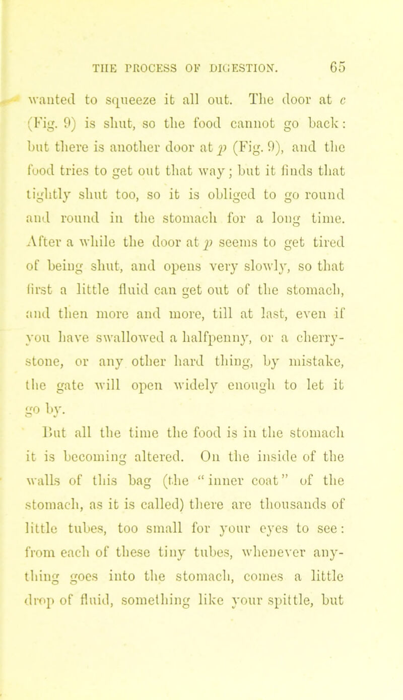 wanted to squeeze it all out. The door at c (Fig. 9) is shut, so the food cannot go hack: hut there is another door at p (Fig. 9), and the food tries to get out that way; hut it finds that tightly shut too, so it is obliged to go round and round in the stomach for a long time. After a while the door at p seems to get tired of being shut, and opens very slow]), so that first a little fluid can get out of the stomach, and then more and more, till at last, even if you have swallowed a halfpenny, or a cherry- stone, or any other hard thing, by mistake, the gate will open widely enough to let it go by. But all the time the food is in the stomach it is becoming altered. On the inside of the walls of this bag (the “inner coat” of the stomach, as it is called) there are thousands of little tubes, too small for your eyes to see: from each of these tiny tubes, whenever any- thing goes into the stomach, comes a little drop of fluid, something like your spittle, but