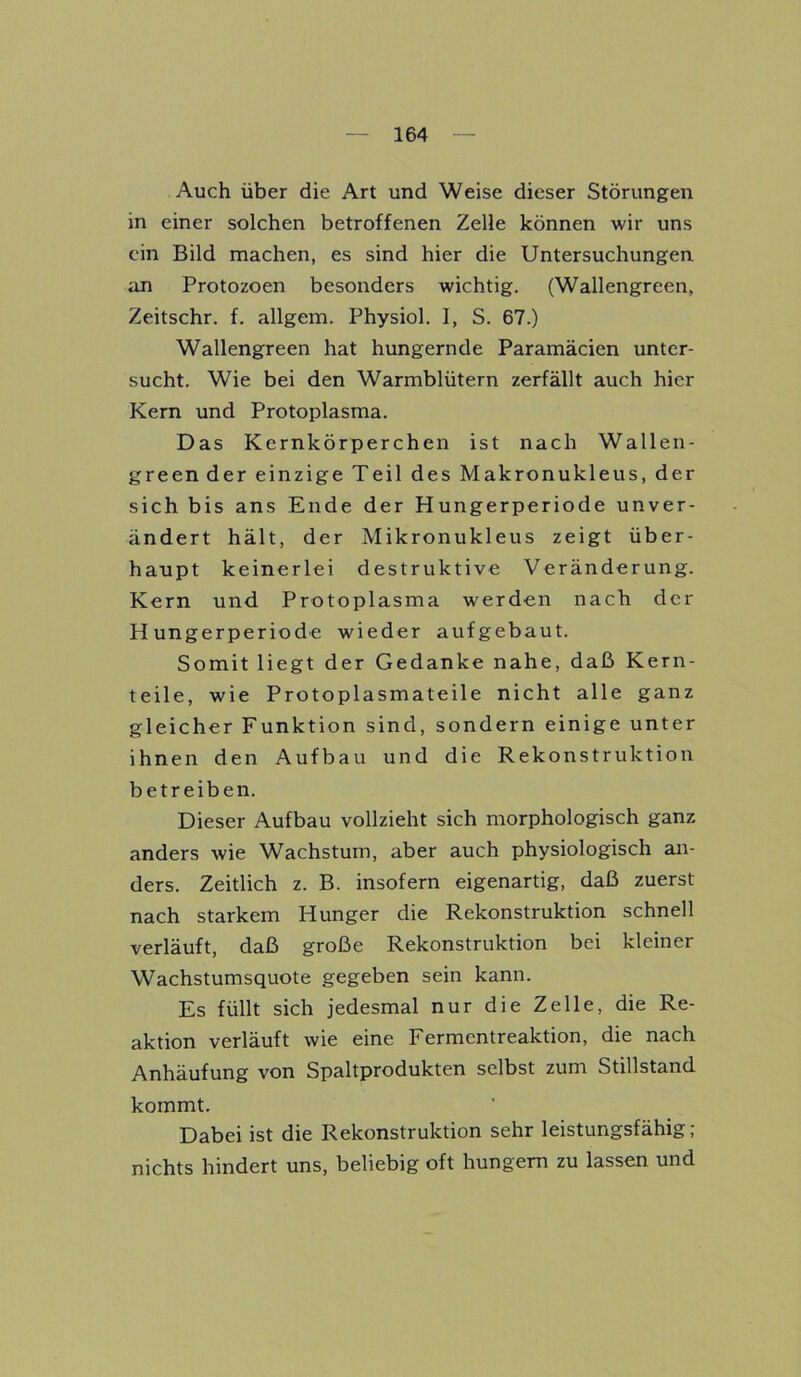 Auch über die Art und Weise dieser Störungen in einer solchen betroffenen Zelle können wir uns ein Bild machen, es sind hier die Untersuchungen an Protozoen besonders wichtig. (Wallengreen, Zeitschr. f. allgem. Physiol. I, S. 67.) Wallengreen hat hungernde Paramäcien unter- sucht. Wie bei den Warmblütern zerfällt auch hier Kern und Protoplasma. Das Kernkörperchen ist nach Wallen- greender einzige Teil des Makronukleus, der sich bis ans Ende der Hungerperiode unver- ändert hält, der Mikronukleus zeigt über- haupt keinerlei destruktive Veränderung. Kern und Protoplasma werden nach der Hungerperiode wieder aufgebaut. Somit liegt der Gedanke nahe, daß Kern- teile, wie Protoplasmateile nicht alle ganz gleicher Funktion sind, sondern einige unter ihnen den Aufbau und die Rekonstruktion betreiben. Dieser Aufbau vollzieht sich morphologisch ganz anders wie Wachstum, aber auch physiologisch an- ders. Zeitlich z. B. insofern eigenartig, daß zuerst nach starkem Hunger die Rekonstruktion schnell verläuft, daß große Rekonstruktion bei kleiner Wachstumsquote gegeben sein kann. Es füllt sich jedesmal nur die Zelle, die Re- aktion verläuft wie eine Fermentreaktion, die nach Anhäufung von Spaltprodukten selbst zum Stillstand kommt. Dabei ist die Rekonstruktion sehr leistungsfähig; nichts hindert uns, beliebig oft hungern zu lassen und