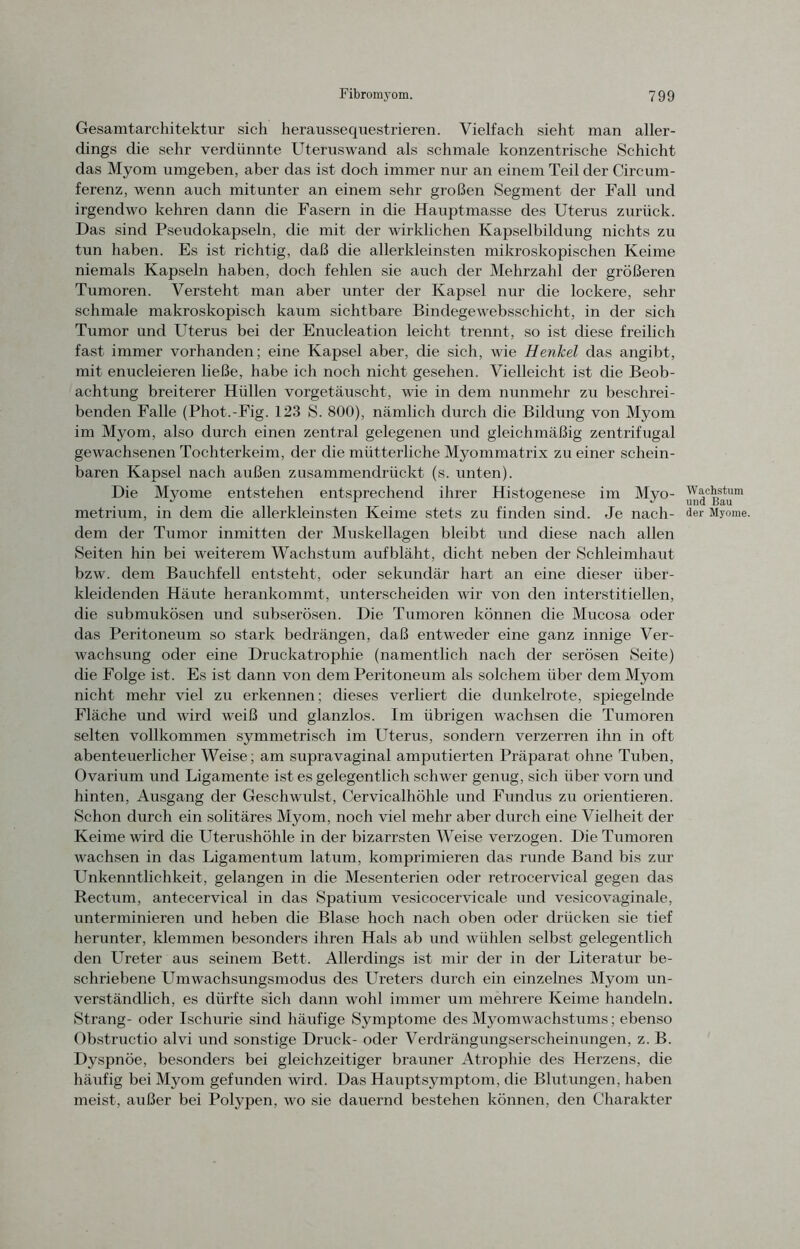 Gesamtarchitektur sich heraussequestrieren. Vielfach sieht man aller- dings die sehr verdünnte Uteruswand als schmale konzentrische Schicht das Myom umgeben, aber das ist doch immer nur an einem Teil der Circum- ferenz, wenn auch mitunter an einem sehr großen Segment der Fall und irgendwo kehren dann die Fasern in die Hauptmasse des Uterus zurück. Das sind Pseudokapseln, die mit der wirklichen Kapselbildung nichts zu tun haben. Es ist richtig, daß die allerkleinsten mikroskopischen Keime niemals Kapseln haben, doch fehlen sie auch der Mehrzahl der größeren Tumoren. Versteht man aber unter der Kapsel nur die lockere, sehr schmale makroskopisch kaum sichtbare Bindegewebsschicht, in der sich Tumor und Uterus bei der Enucleation leicht trennt, so ist diese freilich fast immer vorhanden; eine Kapsel aber, die sich, wie Henkel das angibt, mit enucleieren ließe, habe ich noch nicht gesehen. Vielleicht ist die Beob- achtung breiterer Hüllen vorgetäuscht, wie in dem nunmehr zu beschrei- benden Falle (Phot.-Fig. 123 S. 800), nämlich durch die Bildung von Myom im Myom, also durch einen zentral gelegenen und gleichmäßig zentrifugal gewachsenen Tochterkeim, der die mütterliche Myommatrix zu einer schein- baren Kapsel nach außen zusammendrückt (s. unten). Die Myome entstehen entsprechend ihrer Histogenese im Myo- metrium, in dem die allerkleinsten Keime stets zu finden sind. Je nach- dem der Tumor inmitten der Muskellagen bleibt und diese nach allen Seiten hin bei weiterem Wachstum aufbläht, dicht neben der Schleimhaut bzw. dem Bauchfell entsteht, oder sekundär hart an eine dieser über- kleidenden Häute herankommt, unterscheiden wir von den interstitiellen, die submukösen und subserösen. Die Tumoren können die Mucosa oder das Peritoneum so stark bedrängen, daß entweder eine ganz innige Ver- wachsung oder eine Druckatrophie (namentlich nach der serösen Seite) die Folge ist. Es ist dann von dem Peritoneum als solchem über dem Myom nicht mehr viel zu erkennen; dieses verliert die dunkelrote, spiegelnde Fläche und wird weiß und glanzlos. Im übrigen wachsen die Tumoren selten vollkommen symmetrisch im Uterus, sondern verzerren ihn in oft abenteuerlicher Weise; am supravaginal amputierten Präparat ohne Tuben, Ovarium und Ligamente ist es gelegentlich schwer genug, sich über vorn und hinten, Ausgang der Geschwulst, Cervicalhöhle und Fundus zu orientieren. Schon durch ein solitäres Myom, noch viel mehr aber durch eine Vielheit der Keime wird die Uterushöhle in der bizarrsten Weise verzogen. Die Tumoren wachsen in das Ligamentum latum, komprimieren das runde Band bis zur LTnkenntlichkeit, gelangen in die Mesenterien oder retrocervical gegen das Rectum, antecervical in das Spatium vesicocervicale und vesicovaginale, unterminieren und heben die Blase hoch nach oben oder drücken sie tief herunter, klemmen besonders ihren Hals ab und wühlen selbst gelegentlich den Ureter aus seinem Bett. Allerdings ist mir der in der Literatur be- schriebene Umwachsungsmodus des Ureters durch ein einzelnes Myom un- verständlich, es dürfte sicli dann wohl immer um mehrere Keime handeln. Strang- oder Ischurie sind häufige Symptome des Myomwachstums; ebenso Obstructio alvi und sonstige Druck- oder Verdrängungserscheinungen, z. B. Dyspnoe, besonders bei gleichzeitiger brauner Atrophie des Herzens, die häufig bei Myom gefunden wird. Das Hauptsymptom, die Blutungen, haben meist, außer bei Polypen, wo sie dauernd bestehen können, den Charakter Wachstum und Bau der Myome.