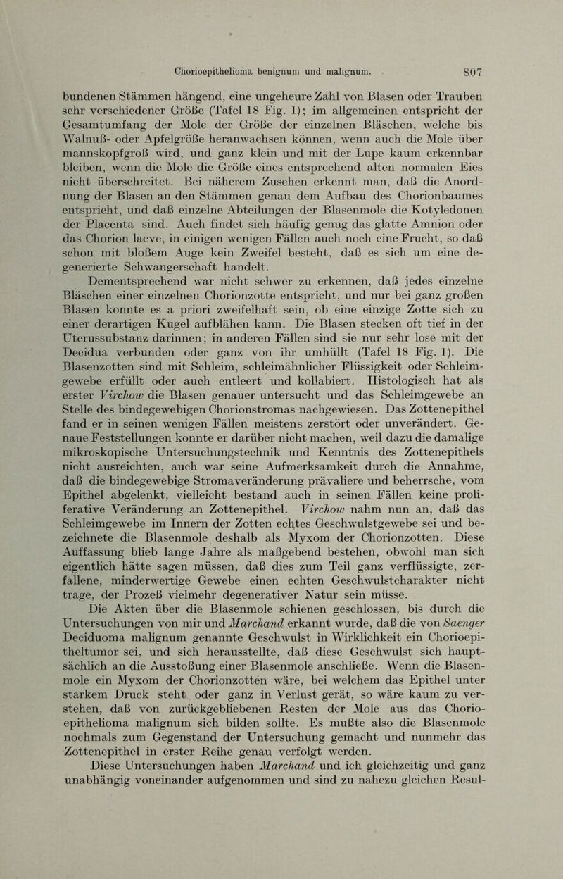 bundenen Stämmen hängend, eine ungeheure Zahl von Blasen oder Trauben sehr verschiedener Größe (Tafel 18 Fig. 1); im allgemeinen entspricht der Gesamtumfang der Mole der Größe der einzelnen Bläschen, welche bis Walnuß- oder Apfelgröße heranwachsen können, wenn auch che Mole über mannskopfgroß wird, und ganz klein und mit der Lupe kaum erkennbar bleiben, wenn die Mole die Größe eines entsprechend alten normalen Eies nicht überschreitet. Bei näherem Zusehen erkennt man, daß die Anord- nung der Blasen an den Stämmen genau dem Aufbau des Chorionbaumes entspricht, und daß einzelne Abteilungen der Blasenmole die Kotyledonen der Placenta sind. Auch findet sich häufig genug das glatte Amnion oder das Chorion laeve, in einigen wenigen Fällen auch noch eine Frucht, so daß schon mit bloßem Auge kein Zweifel besteht, daß es sich um eine de- generierte Schwangerschaft handelt. Dementsprechend war nicht schwer zu erkennen, daß jedes einzelne Bläschen einer einzelnen Chorionzotte entspricht, und nur bei ganz großen Blasen konnte es a priori zweifelhaft sein, ob eine einzige Zotte sich zu einer derartigen Kugel auf blähen kann. Die Blasen stecken oft tief in der Uterussubstanz darinnen; in anderen Fällen sind sie nur sehr lose mit der Decidua verbunden oder ganz von ihr umhüllt (Tafel 18 Fig. 1). Die Blasenzotten sind mit Schleim, schleimähnlicher Flüssigkeit oder Schleim- gewebe erfüllt oder auch entleert und kollabiert. Histologisch hat als erster Virchow die Blasen genauer untersucht und das Schleimgewebe an Stelle des bindegewebigen Chorionstromas nachgewiesen. Das Zottenepithel fand er in seinen wenigen Fällen meistens zerstört oder unverändert. Ge- naue Feststellungen konnte er darüber nicht machen, weil dazu die damalige mikroskopische Untersuchungstechnik und Kenntnis des Zottenepithels nicht ausreichten, auch war seine Aufmerksamkeit durch die Annahme, daß die bindegewebige Stromaveränderung prävaliere und beherrsche, vom Epithel abgelenkt, vielleicht bestand auch in seinen Fällen keine proli- ferative Veränderung an Zottenepithel. Virchow nahm nun an, daß das Schleimgewebe im Innern der Zotten echtes Geschwulstgewebe sei und be- zeichnete die Blasenmole deshalb als Myxom der Chorionzotten. Diese Auffassung blieb lange Jahre als maßgebend bestehen, obwohl man sich eigentlich hätte sagen müssen, daß dies zum Teil ganz verflüssigte, zer- fallene, minderwertige Gewebe einen echten Geschwulstcharakter nicht trage, der Prozeß vielmehr degenerativer Natur sein müsse. Die Akten über die Blasenmole schienen geschlossen, bis durch die Untersuchungen von mir und Marchand erkannt wurde, daß die von Saenger Deciduoma malignum genannte Geschwulst in Wirklichkeit ein Chorioepi- theltumor sei, und sich herausstellte, daß diese Geschwulst sich haupt- sächlich an die Ausstoßung einer Blasenmole anschließe. Wenn die Blasen- mole ein Myxom der Chorionzotten wäre, bei welchem das Epithel unter starkem Druck steht oder ganz in Verlust gerät, so wäre kaum zu ver- stehen, daß von zurückgebliebenen Resten der Mole aus das Chorio- epithelioma malignum sich bilden sollte. Es mußte also die Blasenmole nochmals zum Gegenstand der Untersuchung gemacht und nunmehr das Zottenepithel in erster Reihe genau verfolgt werden. Diese Untersuchungen haben Marchand und ich gleichzeitig und ganz unabhängig voneinander aufgenommen und sind zu nahezu gleichen Resul-