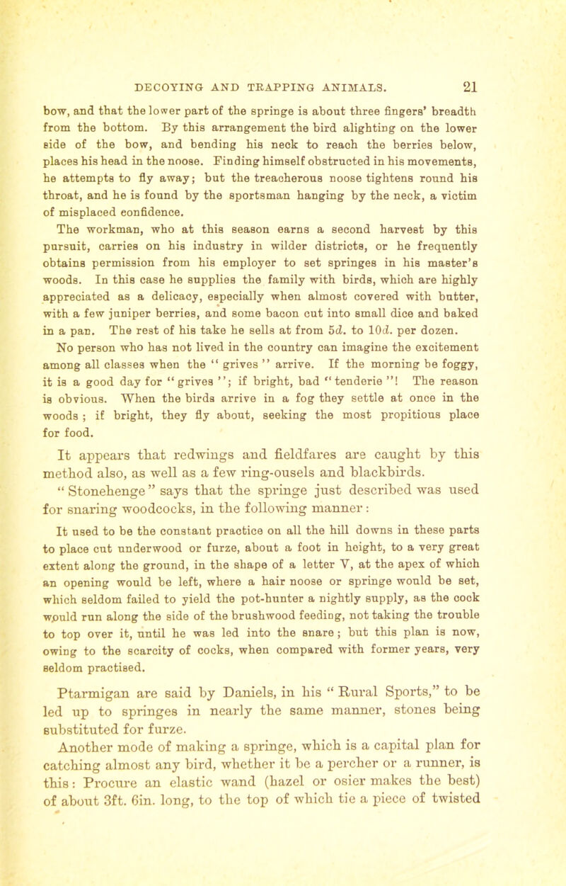 bow, and that the lower part of the springe is about three fingers’ breadth from the bottom. By this arrangement the bird alighting on the lower side of the bow, and bending his neck to reach the berries below, places his head in the noose. Finding himself obstructed in his movements, he attempts to fly away; but the treacherous noose tightens round his throat, and he is found by the sportsman hanging by the neck, a victim of misplaced confidence. The workman, who at this season earns a second harvest by this pursuit, carries on his industry in wilder districts, or he frequently obtains permission from his employer to set springes in his master’s woods. In this case he supplies the family with birds, which are highly appreciated as a delicacy, especially when almost covered with butter, with a few juniper berries, and some bacon cut into small dice and baked in a pan. The rest of his take he sells at from 5d. to lOd. per dozen. No person who has not lived in the country can imagine the excitement among all classes when the “ grives ” arrive. If the morning be foggy, it is a good day for “grives if bright, bad “tenderie ”! The reason is obvious. When the birds arrive in a fog they settle at once in the woods ; if bright, they fly about, seeking the most propitious place for food. It appears that redwings and fieldfares are caught by this method also, as well as a few ring-ousels and blackbirds. “ Stonehenge ” says that the springe just described was used for snaring woodcocks, in the following manner: It used to be the constant practice on all the hill downs in these parts to place cut underwood or furze, about a foot in height, to a very great extent along the ground, in the shape of a letter V, at the apex of which an opening would be left, where a hair noose or springe would be set, which seldom failed to yield the pot-hunter a nightly supply, as the cock wjould run along the side of the brushwood feeding, not taking the trouble to top over it, until he was led into the snare ; but this plan is now, owing to the scarcity of cocks, when compared with former years, very seldom practised. Ptarmigan are said by Daniels, in bis “ Rural Sports,” to be led up to springes in nearly the same manner, stones being substituted for furze. Another mode of making a springe, which is a capital plan for catching almost any bird, whether it be a percher or a runner, is this: Procure an elastic wand (hazel or osier makes the best) of about 3ft. 6in. long, to the top of which tie a piece of twisted