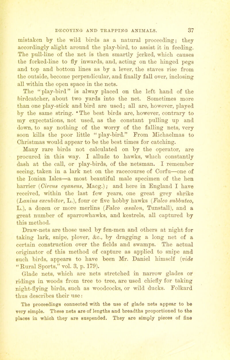 mistaken by the wild birds as a natural proceeding; tbey accordingly aligbt around the play-bird, to assist it in feeding. Tbe pull-line of tbe net is then smartly jerked, wliicb causes tbe forked-line to fly inwards, and, acting on tbe binged pegs and top and bottom lines as by a lever, tbe staves rise from tbe outside, become perpendicular, and finally fall over, inclosing all witbin tbe open space in tbe nets. Tbe “play-bird” is alway placed on tbe left band of tbe birdcatcber, about two yards into tbe net. Sometimes more tban one play-stick and bird are used; all are, however, played by tbe same string. * Tbe best birds are, however, contrary to my expectations, not used, as tbe constant pulling up and down, to say nothing of tbe worry of tbe falling nets, very soon kills tbe poor little “ play-bird.” From Michaelmas to Christmas would appear to be tbe best times for catching. Many rare birds not calculated on by tbe operator, are procured in this way. I allude to hawks, which constantly dash at tbe call, or play-birds, of tbe netsman. I remember seeing, taken in a lark net on tbe racecourse of Corfu—one of tbe Ionian Isles—a most beautiful male specimen of tbe ben barrier (Circus cyaneus, Macg.); and here in England I have received, witbin tbe last few years, one great grey shrike (Lanius excubitor, L.), four or five hobby hawks (Falco subbuteo, L.), a dozen or more merlins (Falco cesalon, Tunstall), and a great number of sparrowhawks, and kestrels, all captured by this method. Draw-nets are those used by fen-men and others at night for taking lark, snipe, plover, &c., by dragging a long net of a certain construction over tbe fields and swamps. Tbe actual originator of this method of capture as applied to snipe and such birds, appears to have been Mr. Daniel himself (vide “ Rural Sports,” vol. 3, p. 179). Glade nets, which are nets stretched in narrow glades or ridings in woods from tree to tree, are used chiefly for taking night-flying birds, such as woodcocks, or wild ducks. Folkard thus describes their use: The proceedings connected with the use of glade nets appear to be very simple. These nets are of lengths and breadths proportioned to the places in which they are suspended. They are simply pieces of fine