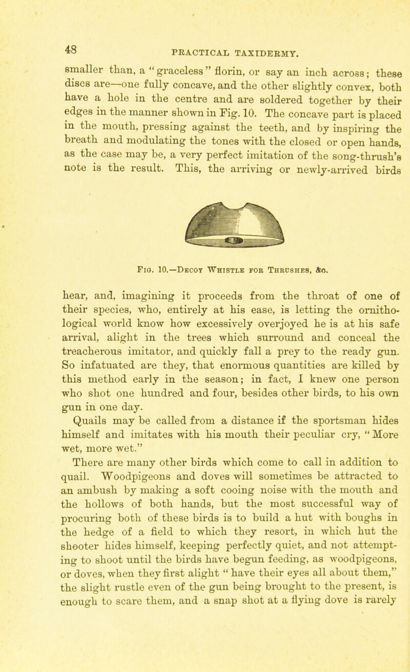 smaller than, a “ graceless ” florin, or say an inch across; these discs are—one fully concave, and the other slightly convex, both have a hole in the centre and are soldered together by then- edges in the manner shown in Fig. 10. The concave part is placed in the mouth, pressing against the teeth, and by inspiring the breath and modulating the tones with the closed or open hands, as the case may be, a very perfect imitation of the song-thrush’s note is the result. This, the arriving or newly-arrived birds Fiq. 10.—Decot Whistle for Thrushes, Ao. hear, and, imagining it proceeds from the throat of one of their species, who, entirely at his ease, is letting the ornitho- logical world know how excessively overjoyed he is at his safe arrival, alight in the trees which surround and conceal the treacherous imitator, and quickly fall a prey to the ready gun. So infatuated are they, that enormous quantities are killed by this method early in the season; in fact, I knew one person who shot one hundred and four, besides other birds, to his own gun in one day. Quails may be called from a distance if the sportsman hides himself and imitates with his mouth their peculiar cry, “ More wet, more wet.” There are many other birds which come to call in addition to quail. Woodpigeons and doves will sometimes be attracted to an ambush by making a soft cooing noise with the mouth and the hollows of both hands, but the most successful way of procuring both of these birds is to build a hut with boughs in the hedge of a field to which they resort, in which hut the shooter hides himself, keeping perfectly quiet, and not attempt- ing to shoot until the birds have begun feeding, as woodpigeons, or doves, when they first alight “ have their eyes all about them,” the slight rustle even of the gun being brought to the present, is enough to scare them, and a snap shot at a flying dove is rarely