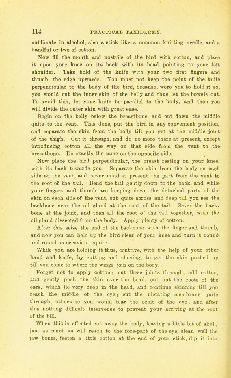 sublimate in alcohol, also a stiok like a common knitting needle, and a handful or two of cotton. Now fill the mouth and nostrils of the bird with cotton, and place it upon your knee on its back with its head pointing to your left shoulder. Take hold of the knife with your two first fingers and thumb, the edge upwards. You must not keep the point of the knife perpendicular to the body of the bird, because, were you to hold it so, you would cnt the inner skin of the belly and thus let the bowels out. To avoid this, let your knife be parallel to the body, and then you will divide the outer skin with great ease. Begin on the belly below the breastbone, and cut down the middle quite to the vent. This done, put the bird in any convenient position, and separate the skin from the body till you get at the middle joint of the thigh. Cut it through, and do no more there at present, except introducing cotton all the way on that side from the vent to the breastbone. Do exactly the same on the opposite side. Now place tbe bird perpendicular, the breast resting on your knee, with its back towards you. Separate the skin from the body on each side at the vent, and never mind at present the part from the vent to the root of the tail. Bend the tail gently down to the back, and while your fingers and thumb are keeping down the detached parts of the skin on each side of the vent, cut quite across and deep till you see the backbone near the oil gland at the root of the tail. Sever the back- bone at the joint, and then all the root of the tail together, with the oil gland dissected from the body. Apply plenty of cotton. After this seize the end of the backbone with the finger and thumb, and now you can hold up the bird clear of your knee and turn it round and round as occasion requires. While you are holding it thus, contrive, with the help of your other hand and knife, by cutting and shoving, to get the skin pushed up till you come to where the wings join on the body. Forget not to apply cotton ; cut these joints through, add cotton, and gently push the skin over the head, out out the roots of the ears, which lie very deep in the head, and continue skinning till you reach the middle ot the eye; cut the nictating membrane quite through, otherwise you would tear the orbit of the eye; and after this nothing difficult intervenes to prevent your arriving at the root of the bill. When this is effeoted cut awny the body, leaving a little bit of skull, just aB muoh as will reach to the fore-part of the eye, clean well the jaw bones, fasten a little cotton at the end of your stick, dip it into