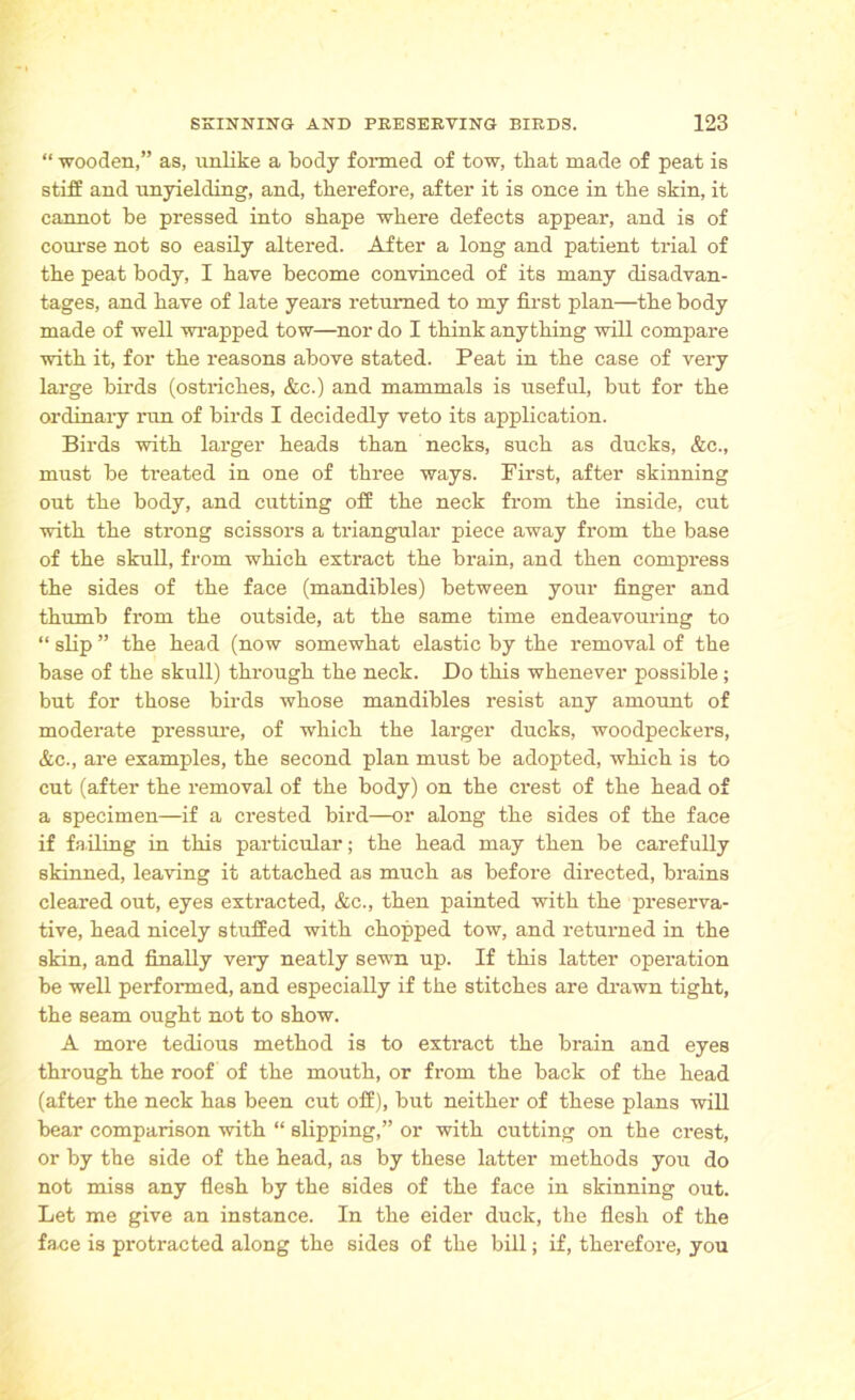 “ wooden,” as, unlike a body formed of tow, tbat made of peat is stiff and unyielding, and, therefore, after it is once in the skin, it cannot be pressed into shape where defects appear, and is of course not so easily altered. After a long and patient trial of the peat body, I have become convinced of its many disadvan- tages, and have of late years returned to my first plan—the body made of well wrapped tow—nor do I think anything will compare with it, for the reasons above stated. Peat in the case of very large birds (ostriches, &c.) and mammals is useful, but for the ordinary run of birds I decidedly veto its application. Birds with larger heads than necks, such as ducks, &c., must be ti’eated in one of three ways. First, after skinning out the body, and cutting off the neck from the inside, cut with the strong scissors a triangular piece away from the base of the skull, from which extract the brain, and then compress the sides of the face (mandibles) between your finger and thumb from the outside, at the same time endeavouring to “ slip ” the head (now somewhat elastic by the removal of the base of the skull) through the neck. Do this whenever possible; but for those birds whose mandibles resist any amount of moderate pressure, of which the larger ducks, woodpeckers, &c., are examples, the second plan must be adopted, which is to cut (after the removal of the body) on the crest of the head of a specimen—if a crested bird—or along the sides of the face if failing in this particular; the head may then be carefully skinned, leaving it attached as much as before directed, brains cleared out, eyes extracted, &c., then painted with the preserva- tive, head nicely stuffed with chopped tow, and returned in the skin, and finally very neatly sewn up. If this latter operation be well performed, and especially if the stitches are drawn tight, the seam ought not to show. A more tedious method is to extract the brain and eyes through the roof of the mouth, or from the back of the head (after the neck has been cut off), but neither of these plans will bear comparison with “ slipping,” or with cutting on the crest, or by the side of the head, as by these latter methods you do not miss any flesh by the sides of the face in skinning out. Let me give an instance. In the eider duck, the flesh of the face is protracted along the sides of the bill; if, therefore, you