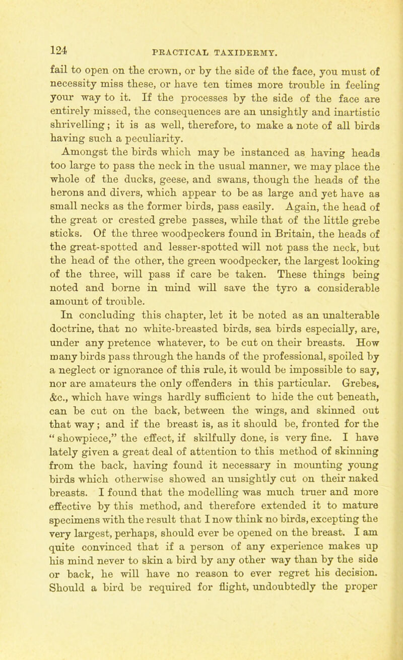 fail to open on the crown, or by the side of the face, you must of necessity miss these, or have ten times more trouble in feeling your way to it. If the processes by the side of the face are entirely missed, the consequences are an unsightly and inartistic shrivelling; it is as well, therefore, to make a note of all birds having such a peculiarity. Amongst the birds which may he instanced as having heads too large to pass the neck in the usual manner, we may place the whole of the ducks, geese, and swans, though the heads of the herons and divers, which appear to be as large and yet have as small necks as the former birds, pass easily. Again, the head of the great or crested grebe passes, while that of the little grebe sticks. Of the three woodpeckers found in Britain, the heads of the great-spotted and lesser-spotted will not pass the neck, but the head of the other, the green woodpecker, the largest looking of the three, will pass if care he taken. These things being noted and borne in mind will save the tyro a considerable amount of trouble. In concluding this chapter, let it he noted as an unalterable doctrine, that no white-breasted birds, sea birds especially, are, under any pretence whatever, to he cut on their breasts. How many birds pass through the hands of the professional, spoiled by a neglect or ignorance of this rule, it would be impossible to say, nor are amateurs the only offenders in this particular. Grebes, &c., which have wings hardly sufficient to hide the cut beneath, can he cut on the back, between the wings, and skinned out that way; and if the breast is, as it should be, fronted for the “ showpiece,” the effect, if skilfully done, is very fine. I have lately given a great deal of attention to this method of skinning from the hack, having found it necessary in mounting young birds which otherwise showed an unsightly cut on their naked breasts. I found that the modelling was much truer and more effective by this method, and therefore extended it to mature specimens with the result that I now think no birds, excepting the very largest, perhaps, should ever he opened on the breast. I am quite convinced that if a person of any experience makes up his mind never to skin a bird by any other way than by the side or hack, he will have no reason to ever regret his decision. Should a bird he required for flight, undoubtedly the proper