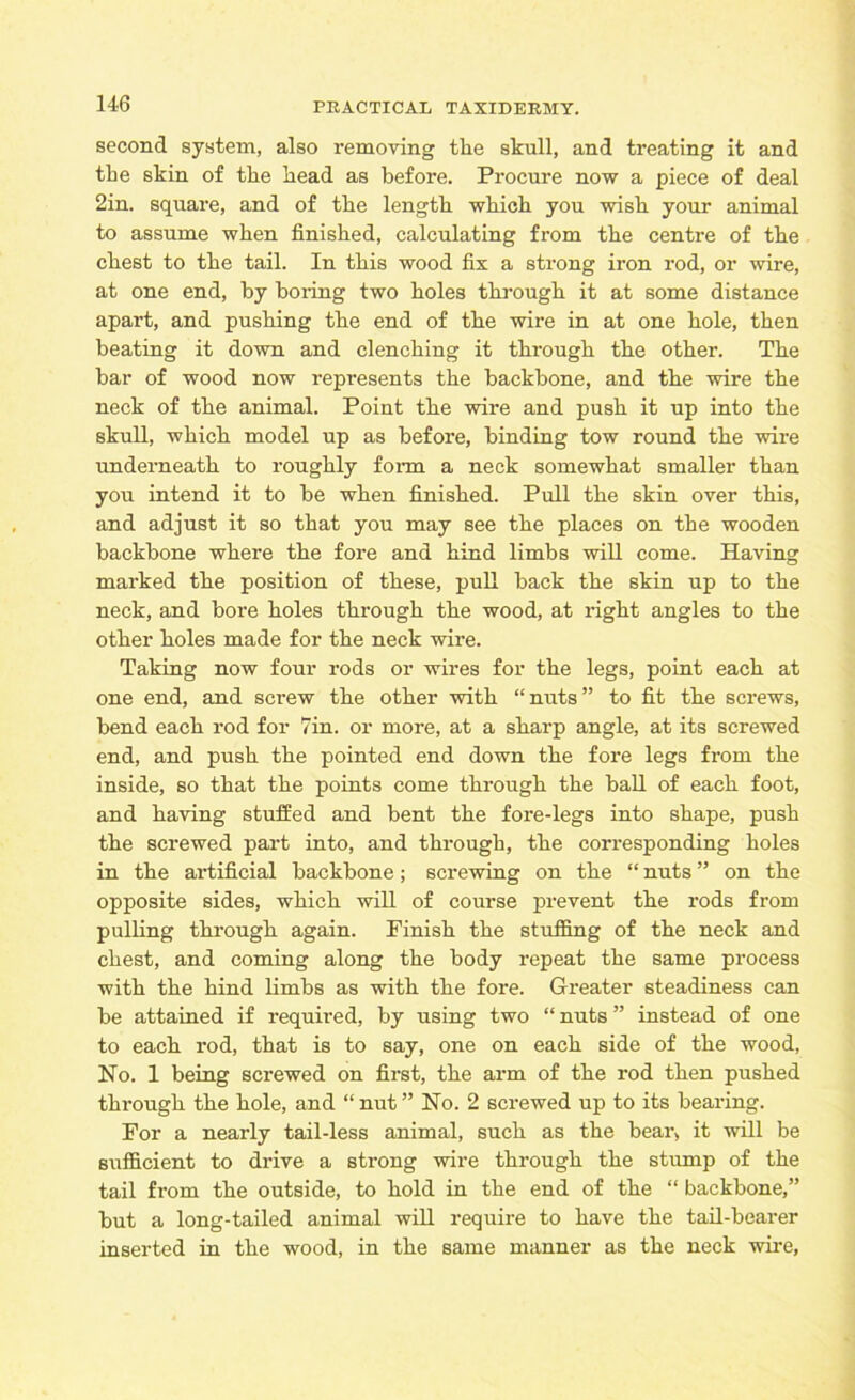 second system, also removing the skull, and treating it and the skin of the head as before. Procure now a piece of deal 2in. square, and of the length which you wish your animal to assume when finished, calculating from the centre of the chest to the tail. In this wood fix a strong iron rod, or wire, at one end, by boring two holes through it at some distance apart, and pushing the end of the wire in at one hole, then beating it down and clenching it through the other. The bar of wood now represents the backbone, and the wire the neck of the animal. Point the wire and push it up into the skull, which model up as before, binding tow round the wire underneath to roughly form a neck somewhat smaller than you intend it to be when finished. Pull the skin over this, and adjust it so that you may see the places on the wooden backbone where the fore and hind limbs will come. Having marked the position of these, pull back the skin up to the neck, and bore holes through the wood, at right angles to the other holes made for the neck wire. Taking now four rods or wires for the legs, point each at one end, and screw the other with “nuts” to fit the screws, bend each rod for Tin. or more, at a sharp angle, at its screwed end, and push the pointed end down the fore legs from the inside, so that the points come through the ball of each foot, and having stuffed and bent the fore-legs into shape, push the screwed part into, and through, the corresponding holes in the artificial backbone; screwing on the “ nuts ” on the opposite sides, which will of course prevent the rods from pulling through again. Finish the stuffing of the neck and chest, and coining along the body repeat the same process with the hind limbs as with the fore. Greater steadiness can be attained if required, by using two “nuts” instead of one to each rod, that is to say, one on each side of the wood, Ho. 1 being screwed on first, the arm of the rod then pushed through the hole, and “ nut ” Ho. 2 screwed up to its bearing. For a nearly tail-less animal, such as the bear, it will be sufficient to drive a strong wire through the stump of the tail from the outside, to hold in the end of the “ backbone,” but a long-tailed animal will require to have the tail-bearer inserted in the wood, in the same manner as the neck wire,