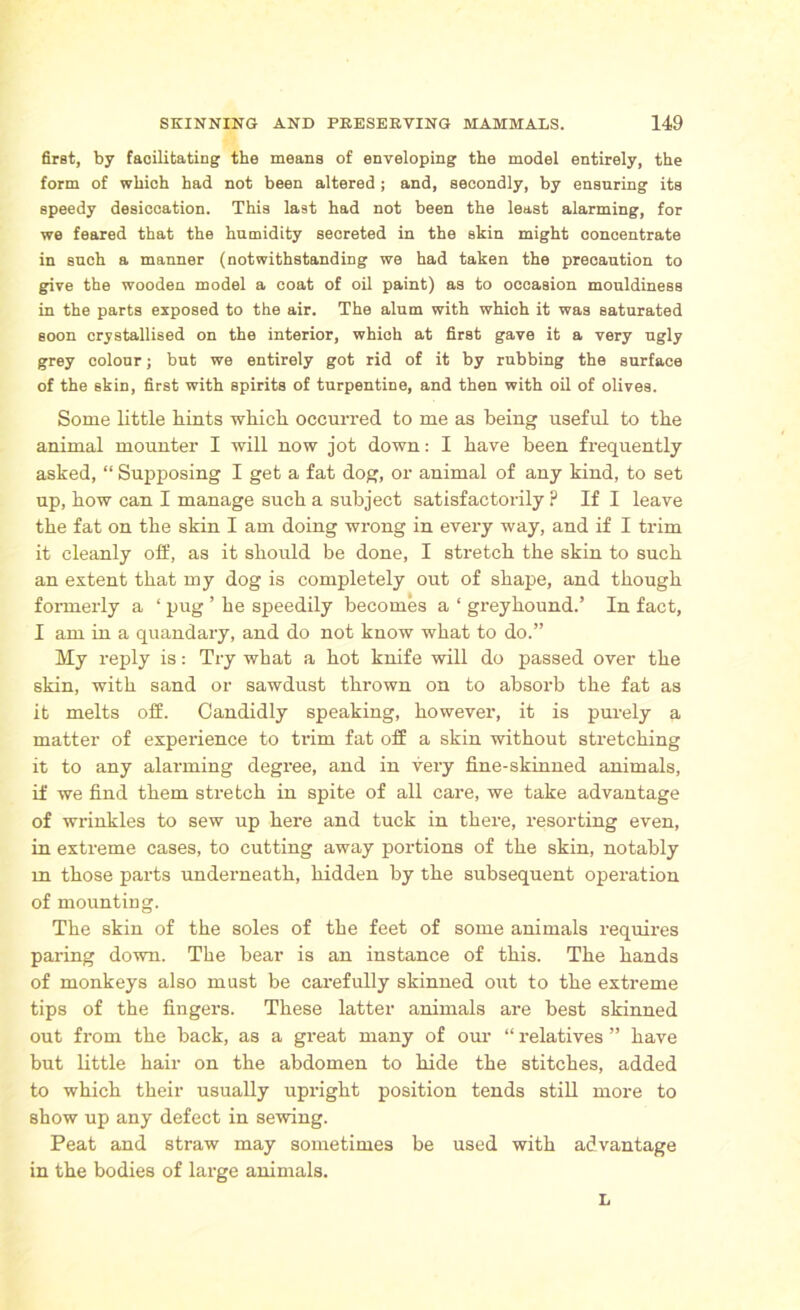 first, by facilitating the means of enveloping the model entirely, the form of which had not been altered ; and, secondly, by ensuring its speedy desiccation. This last had not been the least alarming, for we feared that the humidity secreted in the skin might concentrate in such a manner (notwithstanding we had taken the precaution to give the wooden model a coat of oil paint) as to occasion mouldiness in the parts exposed to the air. The alum with which it was saturated soon crystallised on the interior, which at first gave it a very ugly grey colour; but we entirely got rid of it by rubbing the surface of the skin, first with spirits of turpentine, and then with oil of olives. Some little hints which occurred to me as being useful to the animal mounter I will now jot down: I have been frequently asked, “ Supposing I get a fat dog, or animal of any kind, to set up, how can I manage such a subject satisfactorily ? If I leave the fat on the skin I am doing wrong in every way, and if I trim it cleanly off, as it should be done, I stretch the skin to such an extent that my dog is completely out of shape, and though formerly a ‘ pug ’ he speedily becomes a ‘ greyhound.’ In fact, I am in a quandary, and do not know what to do.” My reply is: Try what a hot knife will do passed over the skin, with sand or sawdust thrown on to absorb the fat as it melts off. Candidly speaking, however, it is purely a matter of experience to trim fat off a skin without stretching it to any alarming degree, and in very fine-skinned animals, if we find them stretch in spite of all care, we take advantage of wrinkles to sew up here and tuck in there, resorting even, in extreme cases, to cutting away portions of the skin, notably m those parts underneath, hidden by the subsequent operation of mounting. The skin of the soles of the feet of some animals requires paring down. The bear is an instance of this. The hands of monkeys also must be carefully skinned out to the extreme tips of the fingers. These latter animals are best skinned out from the back, as a great many of our “ relatives ” have but little hair on the abdomen to hide the stitches, added to which their usually upright position tends still more to show up any defect in sewing. Peat and straw may sometimes be used with advantage in the bodies of large animals. L