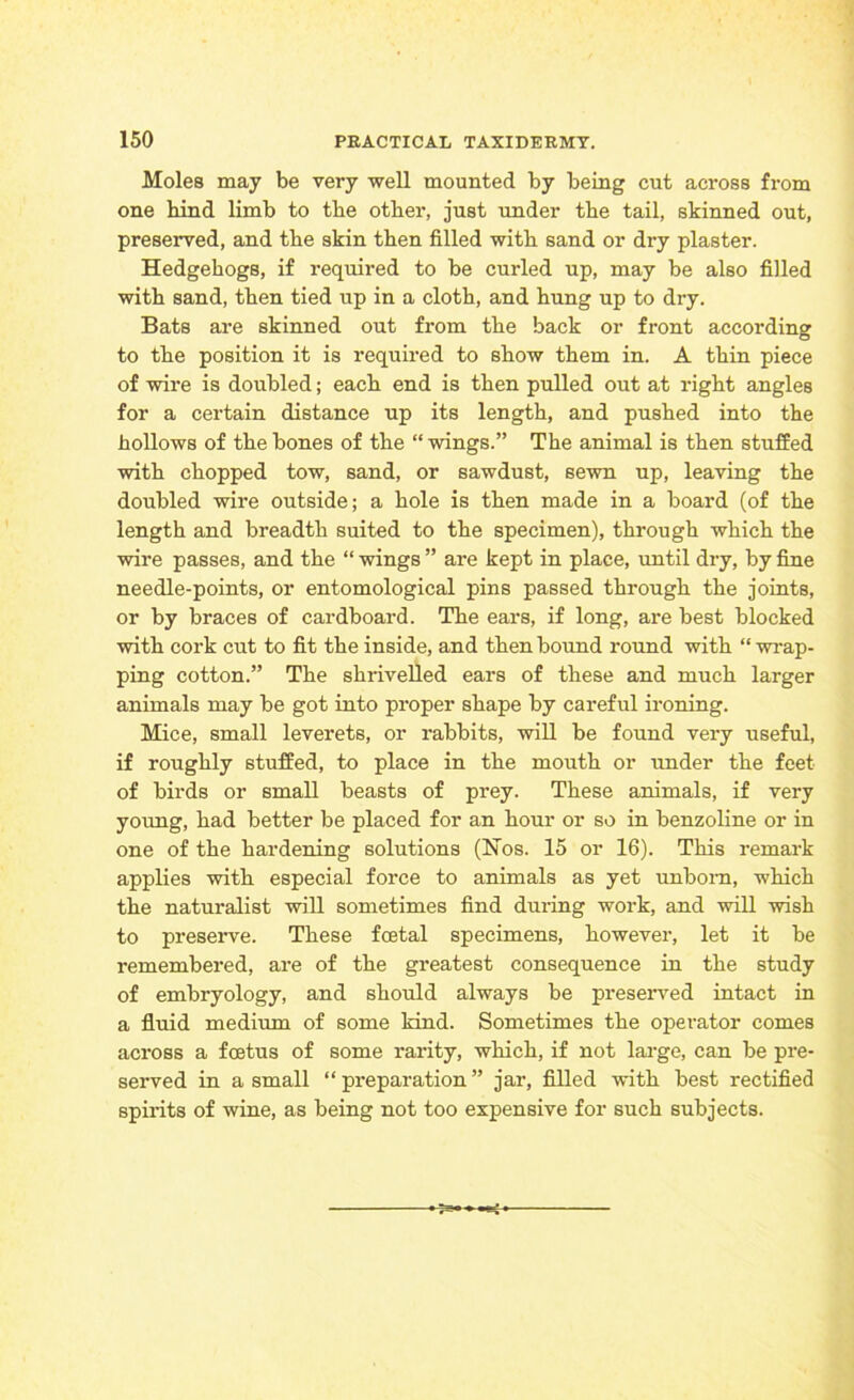 Moles may be very well mounted by being cut across from one bind limb to tbe other, just under the tail, skinned out, preserved, and the skin then filled with sand or dry plaster. Hedgehogs, if required to be curled up, may be also filled with sand, then tied up in a cloth, and hung up to dry. Bats are skinned out from the back or front according to the position it is required to show them in. A thin piece of wire is doubled; each end is then pulled out at right angles for a certain distance up its length, and pushed into the hollows of the bones of the “ wings.” The animal is then stuffed with chopped tow, sand, or sawdust, sewn up, leaving the doubled wire outside; a hole is then made in a board (of the length and breadth suited to the specimen), through which the wire passes, and the “ wings ” are kept in place, until dry, by fine needle-points, or entomological pins passed through the joints, or by braces of cardboard. The ears, if long, are best blocked with cork cut to fit the inside, and then bound round with “ wrap- ping cotton.” The shrivelled ears of these and much larger animals may be got into proper shape by careful ironing. Mice, small leverets, or rabbits, will be found very useful, if roughly stuffed, to place in the mouth or under the feet of birds or small beasts of prey. These animals, if very young, had better be placed for an hour or so in benzoline or in one of the hardening solutions (Nos. 15 or 16). This remark applies with especial force to animals as yet unborn, which the naturalist will sometimes find during work, and will wish to preserve. These foetal specimens, however, let it be remembered, are of the greatest consequence in the study of embryology, and should always be preserved intact in a fluid medium of some kind. Sometimes the operator comes across a foetus of some rarity, which, if not large, can be pre- served in a small “preparation” jar, filled with best rectified spirits of wine, as being not too expensive for such subjects.