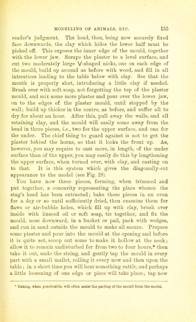 reader’s judgment. The head, then, being now securely fixed face downwards, the clay which hides the lower half must be picked off. This exposes the inner edge of the mould, together with the lower jaw. Scrape the plaster to a level surface, and cut two moderately large V-shaped nicks, one on each edge of the mould, build up around as before with wood, and fill in all interstices leading to the table below with clay. See that the mouth is propei’ly shut, introducing a little clay if needed. Brush over with soft soap, not forgetting the top of the plaster mould, and mix some more plaster and pour over the lower jaw, on to the edges of the plaster mould, until stopped by the wall; build up thicker in the centre, as before, and suffer all to dry for about an hour. After this, pull away the walls, and all retaining clay, and the mould will easily come away from the head in three pieces, i.e., two for the upper surface, and one for the under. The chief thing to guard against is not to get the plaster behind the horns, so that it locks the front up. As, however, you may require to cast more, in length, of the under surface than of the upper, you may easily do this by lengthening the upper surface, when turned over, with clay, and casting on to that. It is this system which gives the diagonally-cut appearance to the model (see Fig. 28). You have now three pieces, forming, when trimmed and put together, a concavity representing the place whence the stag’s head has been extracted; bake these pieces in an oven for a day or so until sufficiently dried, then examine them for flaws or air-bubble holes, which fill up with clay, brush over inside with linseed oil or soft soap, tie together, and fix the mould, nose downward, in a bucket or pail, pack with wedges, and run in sand outside the mould to make all secure. Prepare some plaster and pom- into the mould at the opening and before it is quite set, scoop out some to make it hollow at the neck; allow it to remain undisturbed for from two to four hours,* then take it out, undo the string, and gently tap the mould in every part with a small mallet, rolling it every now and then upon the table; in a short time you will hear something rattle, and perhaps a little loosening of one edge or piece will take place; tap now • Baking, when practicable, will often assist the parting of the mould from the model.