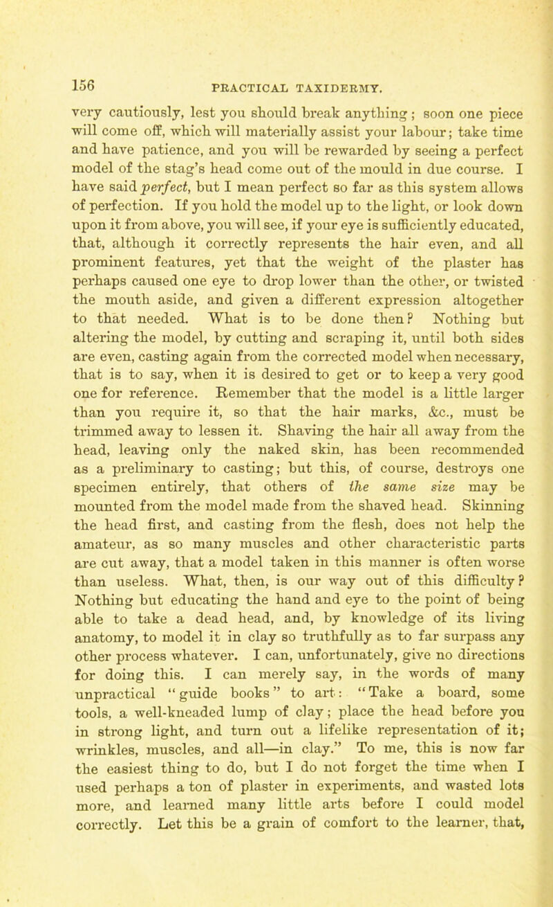 very cautiously, lest you should break anything ; soon one piece will come off, which will materially assist your labour; take time and have patience, and you will be rewarded by seeing a perfect model of the stag’s head come out of the mould in due course. I have said perfect, but I mean perfect so far as this system allows of perfection. If you hold the model up to the light, or look down upon it from above, you will see, if your eye is sufficiently educated, that, although it correctly represents the hair even, and all prominent features, yet that the weight of the plaster has perhaps caused one eye to drop lower than the other, or twisted the mouth aside, and given a different expression altogether to that needed. What is to be done then? Nothing hut altering the model, by cutting and scraping it, until both sides are even, casting again from the corrected model when necessary, that is to say, when it is desired to get or to keep a very good one for reference. Remember that the model is a little larger than you require it, so that the hair marks, &c., must be trimmed away to lessen it. Shaving the hair all away from the head, leaving only the naked skin, has been recommended as a preliminary to casting; hut this, of course, destroys one specimen entirely, that others of the same size may be mounted from the model made from the shaved head. Skinning the head first, and casting from the flesh, does not help the amateur, as so many muscles and other characteristic parts are cut away, that a model taken in this manner is often worse than useless. What, then, is our way out of this difficulty ? Nothing hut educating the hand and eye to the point of being able to take a dead head, and, by knowledge of its living anatomy, to model it in clay so truthfully as to far surpass any other process whatever. I can, unfortunately, give no directions for doing this. I can merely say, in the words of many unpractical “guide books” to art: “Take a board, some tools, a well-kneaded lump of clay; place the head before you in strong light, and turn out a lifelike representation of it; wrinkles, muscles, and all—in clay.” To me, this is now far the easiest thing to do, but I do not forget the time when I used perhaps a ton of plaster in experiments, and wasted lots more, and learned many little arts before I could model correctly. Let this be a grain of comfort to the learner, that,