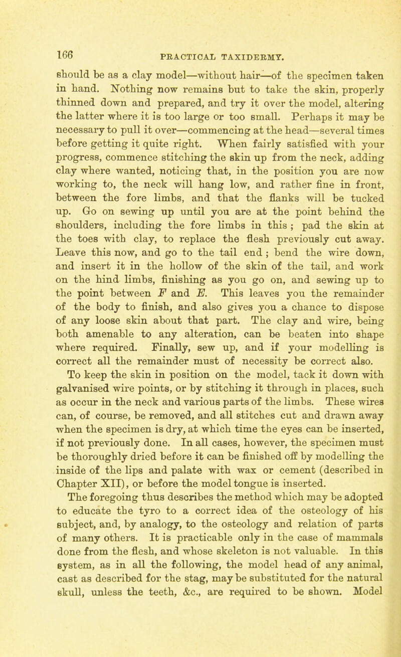 should be as a clay model—without hair—of the specimen taken in hand. Nothing now remains hut to take the skin, properly thinned down and prepared, and try it over the model, altering the latter where it is too large or too small. Pei’haps it may be necessary to pull it over—commencing at the head—several times before getting it quite right. When fairly satisfied with your progress, commence stitching the skin up from the neck, adding clay where wanted, noticing that, in the position you are now working to, the neck will hang low, and rather fine in front, between the fore limbs, and that the flanks will he tucked up. Go on sewing up until you are at the point behind the shoulders, including the fore limbs in this ; pad the skin at the toes with clay, to replace the flesh previously cut away. Leave this now, and go to the tail end ; bend the wire down, and insert it in the hollow of the skin of the tail, and work on the hind limbs, finishing as you go on, and sewing up to the point between F and E. This leaves you the remainder of the body to finish, and also gives you a chance to dispose of any loose skin about that part. The clay and wire, being both amenable to any alteration, can be beaten into shape where required. Finally, sew up, and if your modelling is correct all the remainder must of necessity be correct also. To keep the skin in position on the model, tack it down with galvanised wire points, or by stitching it through in places, such as occur in the neck and various parts of the limbs. These wires can, of course, be removed, and all stitches cut and drawn away when the specimen is dry, at which time the eyes can be inserted, if not previously done. In all cases, however, the specimen must be thoroughly dried before it can be finished off by modelling the inside of the lips and palate with wax or cement (described in Chapter XII), or before the model tongue is inserted. The foregoing thus describes the method which may be adopted to educate the tyro to a correct idea of the osteology of his subject, and, by analogy, to the osteology and relation of parts of many others. It is practicable only in the case of mammals done from the flesh, and whose skeleton is not valuable. In this system, as in all the following, the model head of any animal, cast as described for the stag, may be substituted for the natural skull, unless the teeth, &c., are required to be shown. Model