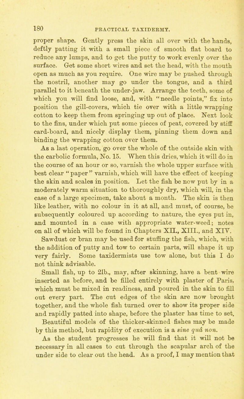 proper sliape. Gently press tlie skin all over with the hands, deftly patting it with a small piece of smooth flat hoard to reduce any lamps, and to get the putty to work evenly over the surface. Get some short wires and set the head, with the mouth open as much as you require. One wire may be pushed through the nostril, another may go under the tongue, and a third parallel to it beneath the under-jaw. Arrange the teeth, some of which you will find loose, and, with “needle points,” fix into position the gill-covers, which tie over with a little wrapping cotton to keep them from springing up out of place. Next look to the fins, under which put some pieces of peat, covered by stiff card-hoard, and nicely display them, pinning them down and binding the wrapping cotton over them. As a last operation, go over the whole of the outside skin with the carbolic formula, No. 15. When this dries, which it will do in the course of an hour or so, varnish the whole upper surface with best clear “ paper ” varnish, which will have the effect of keeping the skin and scales in position. Let the fish he now put hy in a moderately warm situation to thoroughly dry, which will, in the case of a large specimen, take about a month. The skin is then like leather, with no colour in it at all, and must, of course, he subsequently coloured up according to nature, the eyes put in, and mounted in a case with appropriate water-weed; notes on all of which will he found in Chapters XII., XIII., and XIY. Sawdust or bran may he used for stuffing the fish, which, with the addition of putty and tow to certain parts, will shape it up very fairly. Some taxidermists use tow alone, hut this I do not think advisable. Small fish, up to 21b., may, after skinning, have a bent wire inserted as before, and be filled entirely with plaster of Paris, which must he mixed in readiness, and poured in the skin to fill out every part. The cut edges of the skin are now brought together, and the whole fish turned over to show its proper side and rapidly patted into shape, before the plaster has time to set. Beautiful models of the thicker-skinned fishes may be made by this method, but rapidity of execution is a sine qua non. As the student progresses he will find that it will not be necessary in all cases to cut through the scapular arch of the under side to clear out the head. As a proof, I may mention that