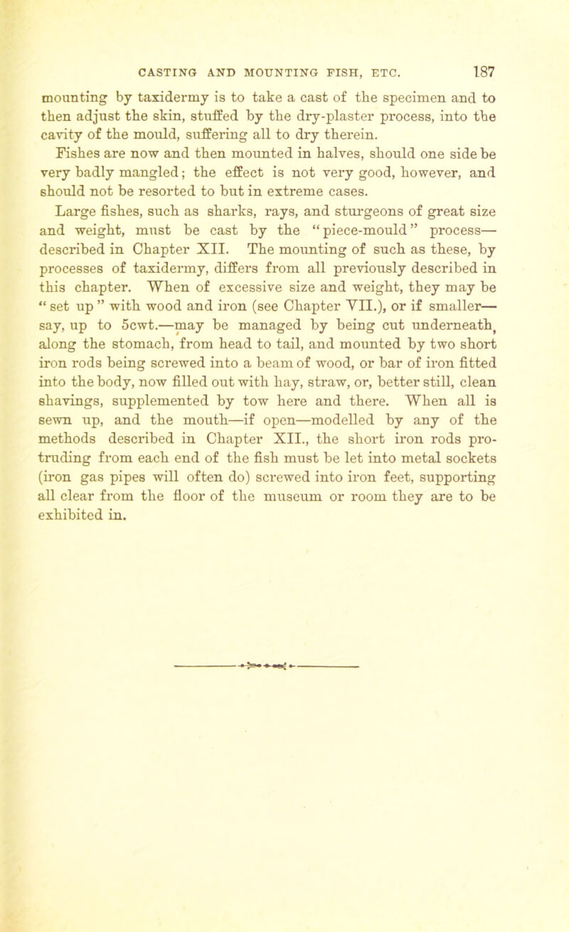 mounting by taxidermy is to take a cast of the specimen and to then adjust the skin, stuffed by the dry-plaster process, into the cavity of the mould, suffering all to dry therein. Fishes are now and then mounted in halves, should one side he very badly mangled; the effect is not very good, however, and should not be resorted to but in extreme cases. Large fishes, such as sharks, rays, and sturgeons of great size and weight, must be cast by the “piece-mould” process— described in Chapter XII. The mounting of such as these, by processes of taxidermy, differs from all previously described in this chapter. When of excessive size and weight, they may be “ set up ” with wood and iron (see Chapter VII.), or if smaller— say, up to 5cwt.—may he managed by being cut underneath) along the stomach, from head to tail, and mounted by two short iron rods being screwed into a beam of wood, or bar of iron fitted into the body, now filled out with hay, straw, or, better still, clean shavings, supplemented by tow here and there. When all is sewn up, and the mouth—if open—modelled by any of the methods described in Chapter XII., the short iron rods pro- trading from each end of the fish must be let into metal sockets (iron gas pipes will often do) screwed into iron feet, supporting all clear from the floor of the museum or room they are to be exhibited in.