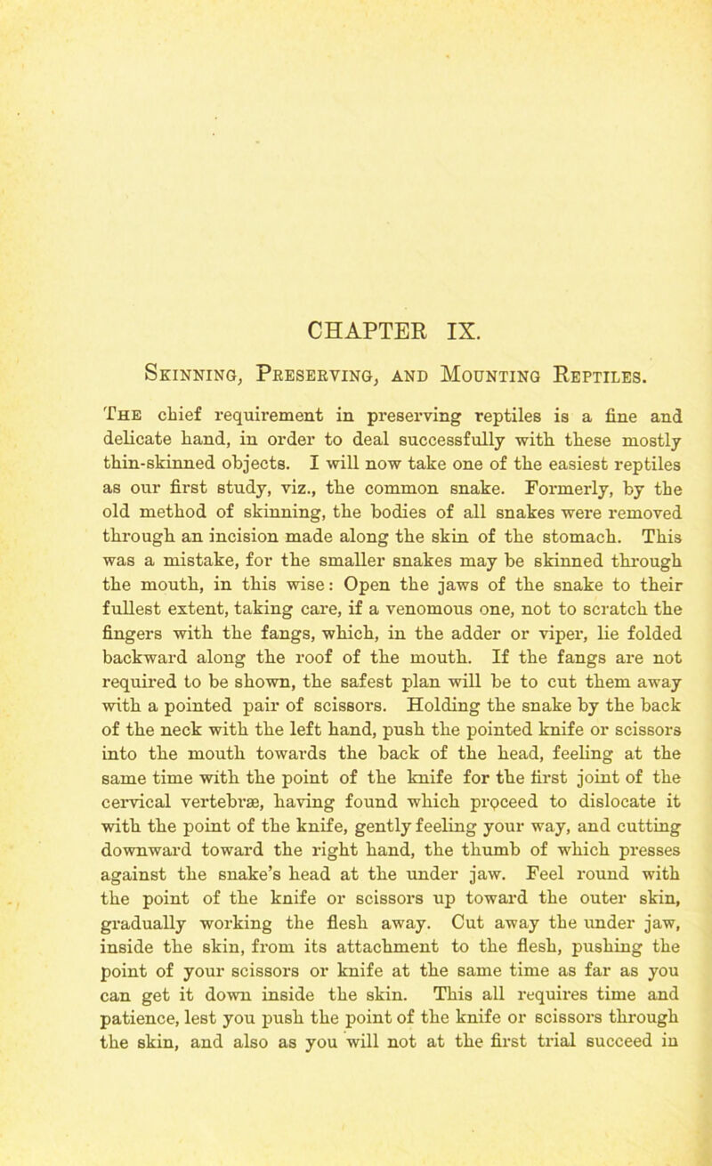 Skinning, Preserving, and Mounting Reptiles. The chief requirement in preserving reptiles is a fine and delicate hand, in order to deal successfully with these mostly thin-skinned objects. I will now take one of the easiest reptiles as our first study, viz., the common snake. Formerly, by the old method of skinning, the bodies of all snakes were removed through an incision made along the skin of the stomach. This was a mistake, for the smaller snakes may be skinned through the mouth, in this wise: Open the jaws of the snake to their fullest extent, taking care, if a venomous one, not to scratch the fingers with the fangs, which, in the adder or viper, lie folded backward along the roof of the mouth. If the fangs are not required to be shown, the safest plan will be to cut them away with a pointed pair of scissors. Holding the snake by the back of the neck with the left hand, push the pointed knife or scissors into the mouth towards the back of the head, feeling at the same time with the point of the knife for the first joint of the cervical vertebrae, having found which proceed to dislocate it with the point of the knife, gently feeling your way, and cutting downward toward the right hand, the thumb of which presses against the snake’s head at the under jaw. Feel round with the point of the knife or scissors up toward the outer skin, gradually working the flesh away. Cut away the under jaw, inside the skin, from its attachment to the flesh, pushing the point of your scissors or knife at the same time as far as you can get it down inside the skin. This all requires time and patience, lest you push the point of the knife or scissors through the skin, and also as you will not at the first trial succeed in