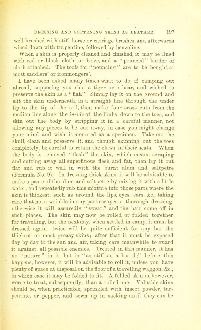 well brushed with stiff horse or carriage brushes, and afterwards wiped down with turpentine, followed by benzoline. When a skin is properly cleaned and finished, it may be lined with red or black cloth, or baize, and a “ pounced ” border of cloth attached. The tools for “ pouncing ” are to be bought at most saddlers’ or ironmongers’. I have been asked many times what to do, if camping out abroad, supposing you shot a tiger or a bear, and wished to preserve the skin as a “ flat.” Simply lay it on the ground and slit the sldn underneath, in a straight line through the under lip to the tip of the tail, then make four cross cuts from the median line along the inside of the limbs down to the toes, and skin out the body by stripping it in a careful manner, not allowing any pieces to be cut away, in case you might change your mind and wish it mounted as a specimen. Take out the skull, clean and preserve it, and though skinning out the toes completely, be careful to retain the claws in their seats. When the body is removed, “flesh” the skin, which means scraping and cutting away all superfluous flesh and fat, then lay it out flat and rub it well in with the burnt alum and saltpetre (Formula No. 9). In dressing thick skins, it will be advisable to make a paste of the alum and saltpetre by mixing it with a little water, and repeatedly rub this mixture into those parts where the skin is thickest, such as around the lips, eyes, ears, &c., taking care that not a wrinkle in any part escapes a thorough dressing, otherwise it will assuredly “ sweat,” and the hair come off in such places. The skin may now be rolled or folded together for travelling, but the next day, when settled in camp, it must be dressed again—twice will be quite sufficient for any but the thickest or most greasy skins; after that it must be exposed day by day to the sun and air, taking care meanwhile to guard it against all possible enemies. Treated in this manner, it has no “ nature ” in it, but is “ as stiff as a boardbefore this happens, however, it will be advisable to roll it, unless you have plenty of space at disposal on the floor of a travelling waggon, &c., in which case it may be folded to fit. A folded skin is, however, worse to treat, subsequently, than a rolled one. Valuable skins should be, when practicable, sprinkled with insect powder, tur- pentine, or pepper, and sewn up in sacking until they can be