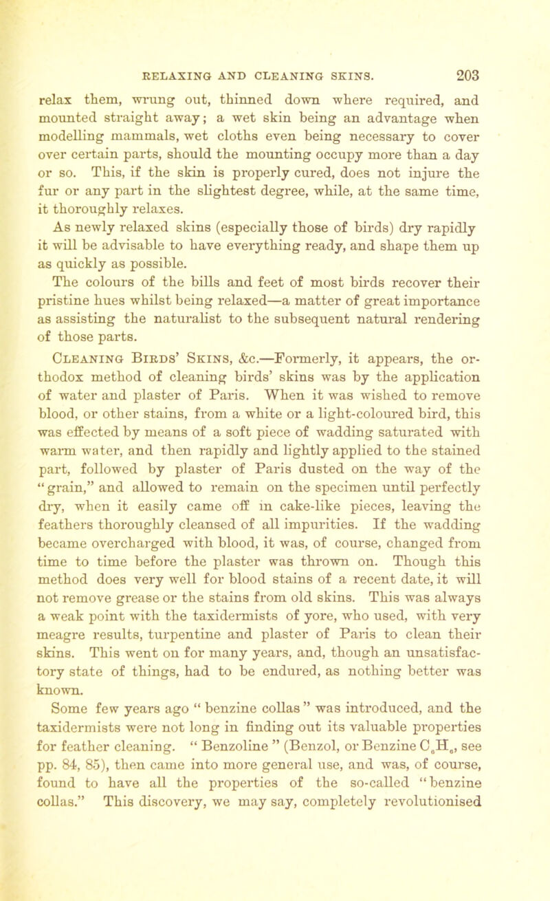 relax them, wrung out, thinned down where required, and mounted straight away; a wet skin being an advantage when modelling mammals, wet cloths even being necessary to cover over certain parts, should the mounting occupy more than a day or so. This, if the skin is properly cured, does not injure the fur or any part in the slightest degree, while, at the same time, it thoroughly relaxes. As newly relaxed skins (especially those of birds) dry rapidly it will be advisable to have everything ready, and shape them up as quickly as possible. The colours of the bills and feet of most birds recover their pristine hues whilst being relaxed—a matter of great importance as assisting the naturalist to the subsequent natural rendering of those parts. Cleaning Birds’ Skins, &c.—Formerly, it appears, the or- thodox method of cleaning birds’ skins was by the application of water and plaster of Paris. When it was wished to remove blood, or other stains, from a white or a light-coloured bird, this was effected by means of a soft piece of wadding saturated with warm water, and then rapidly and lightly applied to the stained part, followed by plaster of Paris dusted on the way of the “ grain,” and allowed to remain on the specimen until perfectly dry, when it easily came off in cake-like pieces, leaving the feathers thoroughly cleansed of all impurities. If the wadding became overcharged with blood, it was, of course, changed from time to time before the plaster was thrown on. Though this method does very well for blood stains of a recent date, it will not remove grease or the stains from old skins. This was always a weak point with the taxidermists of yore, who used, with very meagre results, turpentine and plaster of Paris to clean their skins. This went on for many years, and, though an unsatisfac- tory state of things, had to be endured, as nothing better was known. Some few years ago “ benzine collas ” was introduced, and the taxidermists were not long in finding out its valuable properties for feather cleaning. “ Benzoline ” (Benzol, or Benzine C0H0, see pp. 84, 85), then came into more general use, and was, of course, found to have all the properties of the so-called “benzine collas.” This discovery, we may say, completely revolutionised