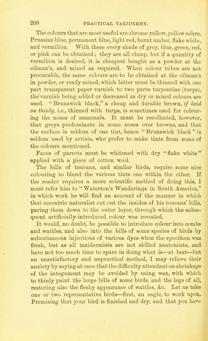 The colours that are most useful are chrome yellow, yellow ochre, Prussian blue, permanent blue, light red, burnt umber, flake white, and vermilion. With these every shade of grey, blue, green, red, or pink can be obtained; they are all cheap, but if a quantity of vermilion is desired, it is cheapest bought as a powder at the oilman’s, and mixed as required. When colour tubes are not procurable, the same colours are to be obtained at the oilman’s in powder, or ready mixed, which latter must be thinned with one part transparent paper varnish to two parts turpentine (turps), the varnish being added or decreased as dry or mixed colours are used. “ Brunswick black,” a cheap and durable brown, if laid on thinly, i.e., thinned with turps, is sometimes used for colour- ing the noses of mammals. It must be recollected, however, that greys predominate in some noses over browns, and that the surface is seldom of one tint, hence “ Brunswick black ” is seldom used by artists, who prefer to make tints from some of the colours mentioned. Faces of parrots must be whitened with dry “ flake white ” applied with a piece of cotton wool. The bills of toucans, and similar birds, require some nice colouring to blend the various tints one within the other. If the reader requires a more scientific method of doing this, I must refer him to “ Waterton’s Wanderings in South America,” in which work he will find an account of the manner in which that eccentric naturalist cut out the insides of his toucans’ bills, paring them down to the outer layer, through which the subse- quent artificially-introduced colour was revealed. It would, no doubt, be possible to introduce colour into combs and wattles, and also into the bills of some species of birds by subcutaneous injections of various dyes when the specimen was fresh, but as all taxidermists are not skilled anatomists, and have not too much time to spare in doing what is—at best—but an unsatisfactory and unpractical method, I may relieve their anxiety by saying at once that the difficulty attendant on shrinkage of the integument may be avoided by using wax, with which to thinly paint the large bills of some birds, and the legs of all, restoring also the fleshy appearance of wattles, &c. Let us take one or two representative birds—first, an eagle, to work upon, Premising that your bird is finished and dry, and that you have