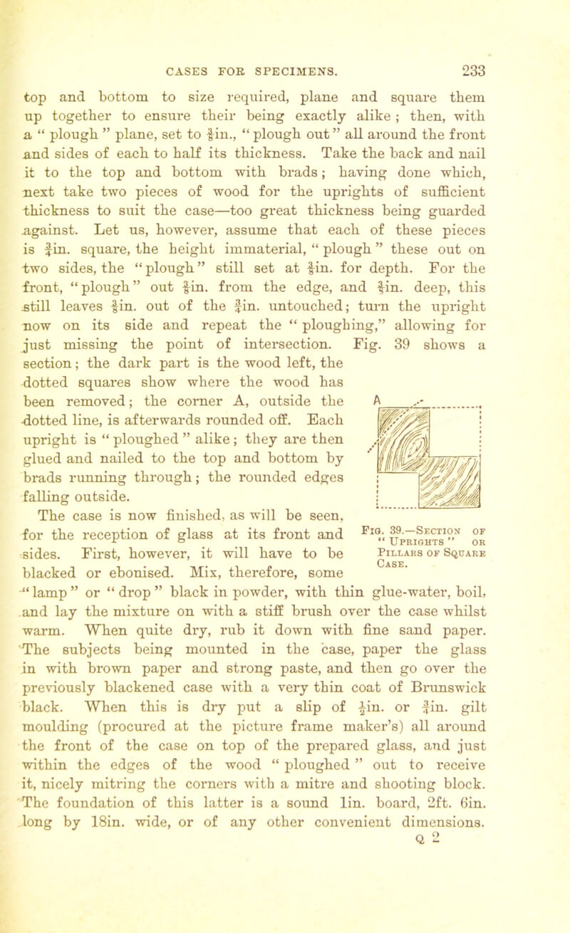 top and bottom to size required, plane and square them up together to ensure their being exactly alike ; then, with a “ plough ” plane, set to fin., “ plough out ” all around the front and sides of each to half its thickness. Take the back and nail it to the top and bottom with brads; having done which, next take two pieces of wood for the uprights of sufficient thickness to suit the case—too great thickness being guarded against. Let us, however, assume that each of these pieces is fin. square, the height immaterial, “ plough ” these out on two sides, the “ plough ” still set at iin. for depth. For the front, “plough” out fin. from the edge, and fin. deep, this still leaves fin. out of the fin. untouched; turn the upright now on its side and repeat the “ ploughing,” allowing for just missing the point of intersection. Fig. 39 shows a section; the dark part is the wood left, the dotted squares show where the wood has been removed; the corner A, outside the dotted line, is afterwards rounded off. Each upright is “ ploughed ” alike; they are then glued and nailed to the top and bottom by brads running through; the rounded edges falling outside. The case is now finished, as will be seen, for the reception of glass at its front and sides. First, however, it will have to be blacked or ebonised. Mix, therefore, some •“lamp” or “drop” black in powder, with thin glue-water, boil, and lay the mixture on with a stiff brush over the case whilst warm. When quite dry, rub it down with fine sand paper. The subjects being mounted in the case, paper the glass in with brown paper and strong paste, and then go over the previously blackened case with a very thin coat of Brunswick black. When this is dry put a slip of fin. or fin. gilt moulding (procured at the picture frame maker’s) all around the front of the case on top of the prepared glass, and just within the edges of the wood “ ploughed ” out to receive it, nicely mitring the corners with a mitre and shooting block. The foundation of this latter is a sound lin. board, 2ft. 6in. long by 18in. wide, or of any other convenient dimensions. Q 2 Fig. 39.—Section of “ Uprights ” or Pillars of Square Case.