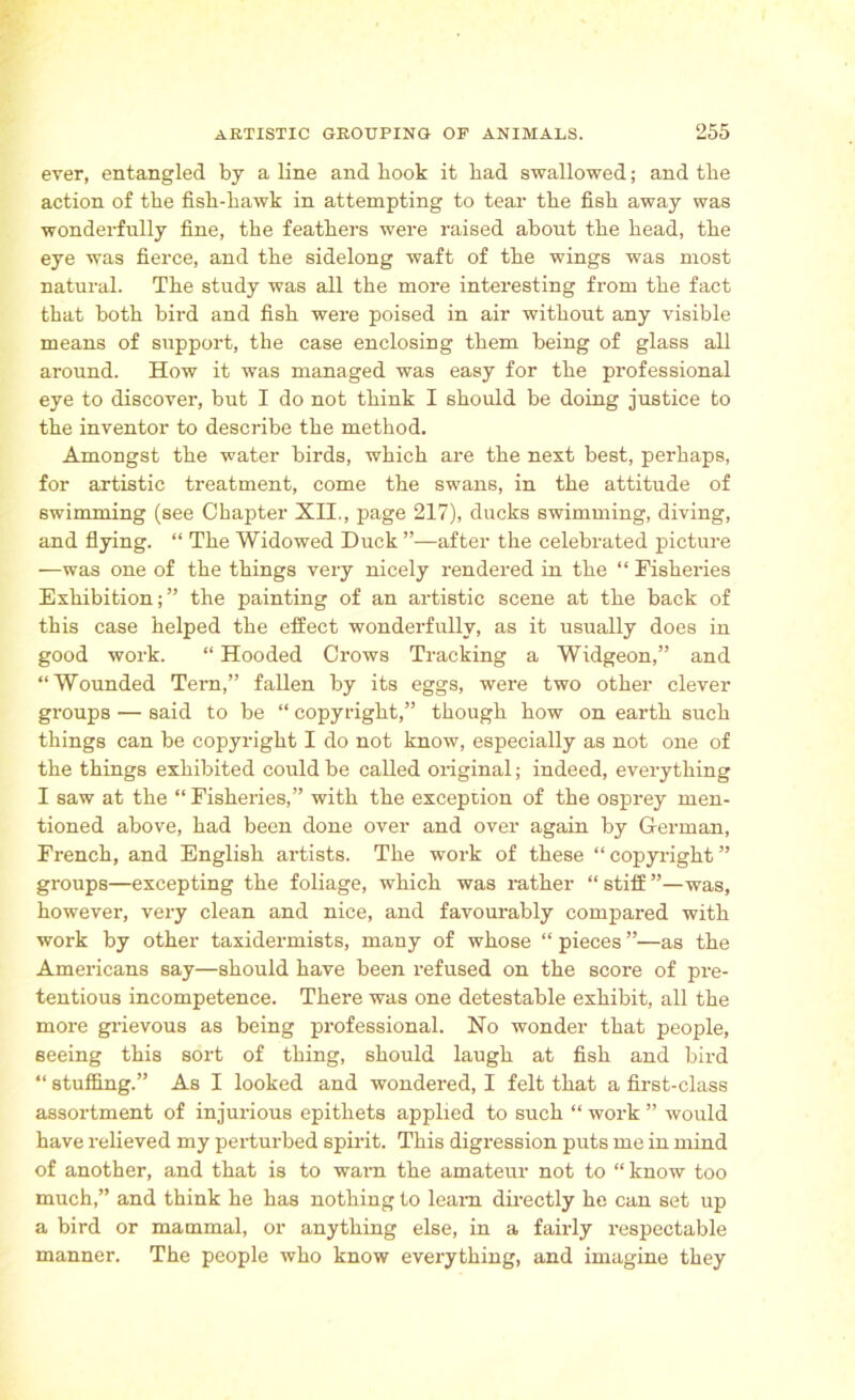 ever, entangled by a line and book it bad swallowed; and tbe action of tbe fisb-bawk in attempting to tear tbe fisb away was wonderfully fine, tbe feathers were raised about tbe bead, tbe eye was fierce, and tbe sidelong waft of tbe wings was most natural. Tbe study was all tbe more interesting from tbe fact that both bird and fisb were poised in air without any visible means of support, the case enclosing them being of glass all around. How it was managed was easy for tbe professional eye to discover, but I do not think I should be doing justice to tbe inventor to describe tbe method. Amongst tbe water birds, which are tbe next best, perhaps, for artistic treatment, come tbe swans, in tbe attitude of swimming (see Chapter XII., page 217), ducks swimming, diving, and flying. “ Tbe Widowed Duck ”—after tbe celebrated picture —was one of tbe things very nicely rendered in tbe “ Fisheries Exhibition;” the painting of an artistic scene at tbe back of this case helped tbe effect wonderfully, as it usually does in good work. “ Hooded Crows Tracking a Widgeon,” and “Wounded Tern,” fallen by its eggs, were two other clever groups — said to be “ copyright,” though bow on earth such things can be copyright I do not know, especially as not one of tbe things exhibited could be called original; indeed, everything I saw at tbe “Fisheries,” with tbe exception of tbe osprey men- tioned above, bad been done over and over again by German, French, and English artists. Tbe work of these “copyright” groups—excepting tbe foliage, which was rather “ stiff ”—was, however, very clean and nice, and favourably compared with work by other taxidermists, many of whose “ pieces ”—as tbe Americans say—should have been refused on the score of pre- tentious incompetence. There was one detestable exhibit, all the more grievous as being professional. Ho wonder that people, seeing this sort of thing, should laugh at fish and bird “ stuffing.” As I looked and wondered, I felt that a first-class assortment of injurious epithets applied to such “ work ” would have relieved my perturbed spirit. This digression puts me in mind of another, and that is to warn the amateur not to “know too much,” and think he has nothing to leam directly he can set up a bird or mammal, or anything else, in a fairly respectable manner. The people who know everything, and imagine they