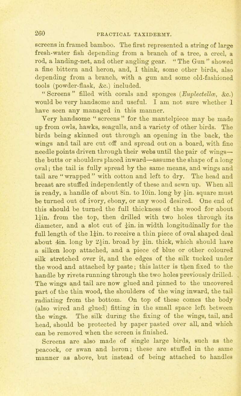 screens in framed bamboo. Tbe first represented a string of large fresli-water fisb depending from a branch of a tree, a creel, a rod, a landing-net, and other angling gear. “ The Gun ” showed a fine bittern and heron, and, I think, some other birds, also depending from a branch, with a gun and some old-fashioned tools (powder-flask, &c.) included. “ Screens ” filled with corals and sponges (Euplectellce, &c.) would be very handsome and useful. I am not sure whether 1 have seen any managed in this manner. Yery handsome “screens” for the mantelpiece may be made up from owls, hawks, seagulls, and a variety of other birds. The birds being skinned out through an opening in the back, the wings and tail are cut off and spread out on a board, with fine needle points driven through their webs until the pair of wings— the butts or shoulders placed inward—assume the shape of a long oval; the tail is fully spread by the same means, and wings and tail are “ wrapped ” with cotton and left to dry. The head and breast are stuffed independently of these and sewn up. When all is ready, a handle of about 8in. to lOin. long by -Jin. square must be turned out of ivory, ebony, or any wood desired. One end of this should be turned the full thickness of the wood for about l^in. from the top, then drilled with two holes through its diameter, and a slot cut of Jin. in width longitudinally for the full length of the l£in. to receive a thin piece of oval shaped deal about 4in. long by 2-Jin. broad by jin. thick, which should have a silken loop attached, and a piece of blue or other coloured silk stretched over it, and the edges of the silk tucked under the wood and attached by paste; this latter is then fixed to the handle by rivets running through the two holes previously drilled. The wings and tail are now glued and pinned to the uncovered part of the thin wood, the shoulders of the wing inward, the tail radiating from the bottom. On top of these comes the body (also wired and glued) fitting in the small space left between the wings. The silk during the fixing of the wings, tail, and head, should be protected by paper pasted over all, and which can be removed when the screen is finished. Screens are also made of single large birds, such as the peacock, or swan and heron; these are stuffed in the same manner as above, but instead of being attached to handles