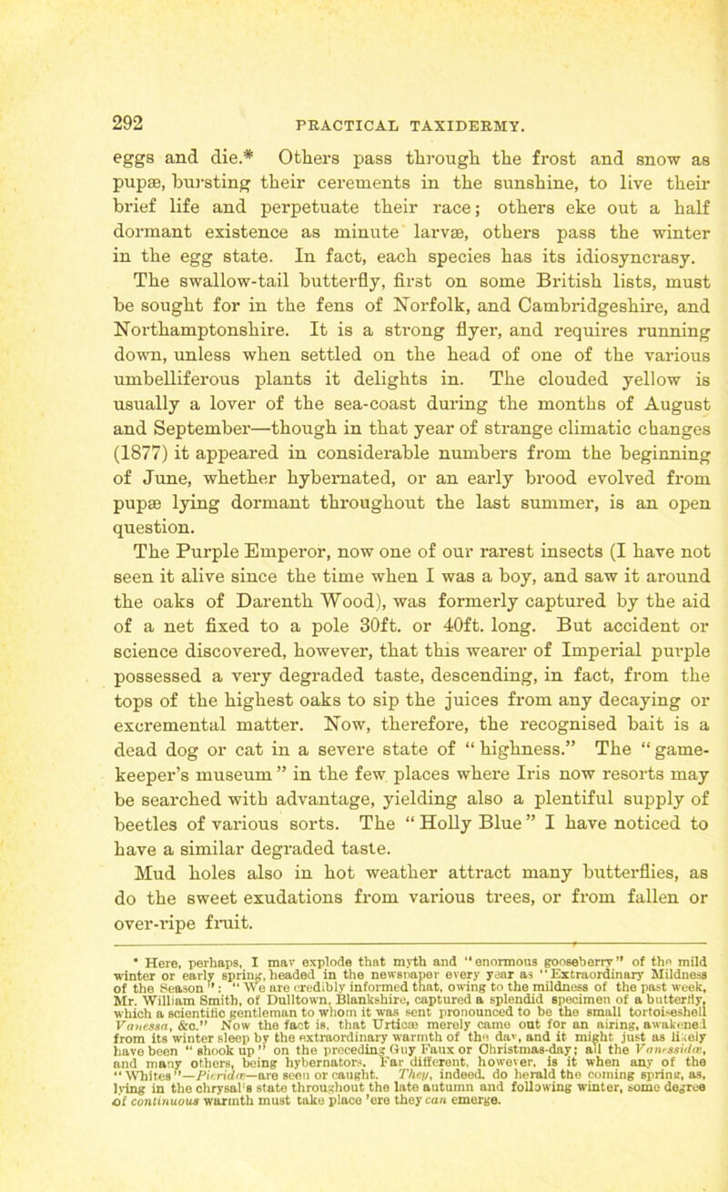 eggs and die.* Others pass through the frost and snow as pupae, bursting their cerements in the sunshine, to live their brief life and perpetuate their race; others eke out a half dormant existence as minute larvae, others pass the winter in the egg state. In fact, each species has its idiosyncrasy. The swallow-tail butterfly, first on some British lists, must be sought for in the fens of Norfolk, and Cambridgeshire, and Northamptonshire. It is a strong flyer, and requires running down, unless when settled on the head of one of the various umbelliferous plants it delights in. The clouded yellow is usually a lover of the sea-coast during the months of August and September—though in that year of strange climatic changes (1877) it appeared in considerable numbers from the beginning of June, whether hybernated, or an early brood evolved from pupae lying dormant throughout the last summer, is an open question. The Purple Emperor, now one of our rarest insects (I have not seen it alive since the time when I was a boy, and saw it around the oaks of Darenth Wood), was formerly captured by the aid of a net fixed to a pole 30ft. or 40ft. long. But accident or science discovered, however, that this wearer of Imperial purple possessed a very degraded taste, descending, in fact, from the tops of the highest oaks to sip the juices from any decaying or excremental matter. Now, therefore, the recognised bait is a dead dog or cat in a severe state of “ highness.” The “ game- keeper’s museum ” in the few places where Iris now resorts may be searched with advantage, yielding also a plentiful supply of beetles of various sorts. The “ Holly Blue ” I have noticed to have a similar degraded taste. Mud holes also in hot weather attract many butterflies, as do the sweet exudations from various trees, or from fallen or over-ripe fruit. • Here, perhaps, I mav- explode that myth and enormous gooseberry” of the mild ■winter or early spring,headed in the newspaper every year as Extraordinary Mildness of the Season ”: “ We are credibly informed that, owing to the mildness of the past week, Mr. William Smith, of Dulltown, Blankshire, captured a splendid specimen of a butterfly, which a scientific gentleman to whom it was sent pronounced to be the small tortoiseshell Vanessa, &o.” Now the fact is. that Urticrn merely came out for an airing, awakened from its winter sleep by the extraordinary warmth of the da*, and it might just as likely have been shook up” on the preceding Guy Faux or Christnias-day; all the Vamssidas, and many others, being hybernators. Far different, however, is it when any of the Whites ”—Pkrid(e—are seen or caught. Then, indeed, do herald the coming spring, as, hung in the chrysal'B state throughout the late autumn and following winter, some degree of continuous warmth must take place ’ere they can emerge.