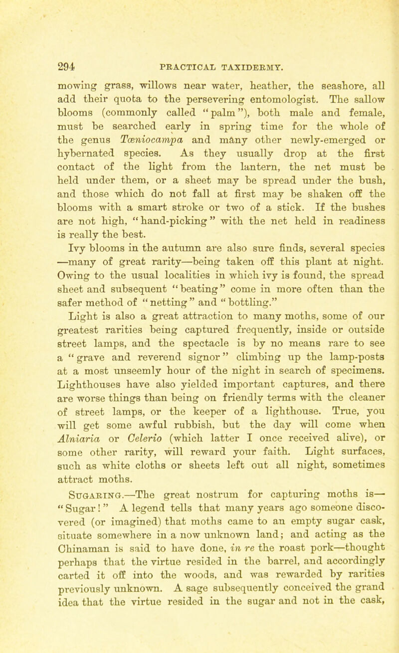 mowing grass, willows near water, heather, the seashore, all add their quota to the persevering entomologist. The sallow blooms (commonly called “ palm ”), both male and female, must he searched early in spring time for the whole of the genus Tceniocampa and many other newly-emerged or liybemated species. As they usually drop at the first contact of the light from the lantern, the net must be held under them, or a sheet may be spread under the bush, and those which do not fall at first may be shaken off the blooms with a smart stroke or two of a stick. If the bushes are not high, “hand-picking” with the net held in readiness is really the best. Ivy blooms in the autumn are also sure finds, several species —many of great rarity—being taken off this plant at night. Owing to the usual localities in which ivy is found, the spread sheet and subsequent “beating” come in more often than the safer method of “ netting ” and “ bottling.” Light is also a great attraction to many moths, some of our greatest rarities being captured frequently, inside or outside street lamps, and the spectacle is by no means rare to see a “ grave and reverend signor ” climbing up the lamp-posts at a most unseemly hour of the night in search of specimens. Lighthouses have also yielded important captures, and there are worse things than being on friendly terms with the cleaner of street lamps, or the keeper of a lighthouse. True, you will get some awful rubbish, but the day will come when Alniaria or Celerio (which latter I once received alive), or some other rarity, will reward your faith. Light surfaces, such as white cloths or sheets left out all night, sometimes attract moths. Sugaring.—The great nostrum for capturing moths is— “ Sugar! ” A legend tells that many years ago someone disco- vered (or imagined) that moths came to an empty sugar cask, situate somewhere in a now unknown land; and acting as the Chinaman is said to have done, in re the roast pork—thought perhaps that the virtue resided in the barrel, and accordingly carted it off into the woods, and was rewarded by rarities previously unknown. A sage subsequently conceived the grand idea that the virtue resided in the sugar and not in the cask,