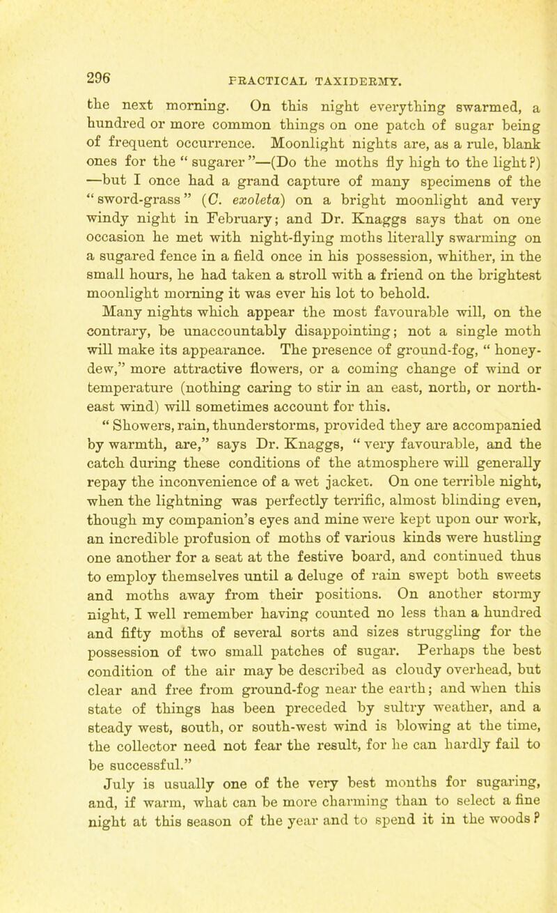 the next morning. On this night everything swarmed, a hundred or more common things on one patch of sugar being of frequent occurrence. Moonlight nights are, as a rule, blank ones for the “ sugarer ”—(Do the moths fly high to the light ?) —but I once had a grand capture of many specimens of the “sword-grass” (C. exoleta) on a bright moonlight and very windy night in February; and Dr. Knaggs says that on one occasion he met with night-flying moths literally swarming on a sugared fence in a field once in his possession, whither, in the small hours, he had taken a stroll with a friend on the brightest moonlight morning it was ever his lot to behold. Many nights which appear the most favourable will, on the contrary, be unaccountably disappointing; not a single moth will make its appearance. The presence of ground-fog, “ honey- dew,” more attractive flowers, or a coming change of wind or temperature (nothing caring to stir in an east, north, or north- east wind) will sometimes account for this. “ Showers, rain, thunderstorms, provided they are accompanied by warmth, are,” says Dr. Knaggs, “ very favourable, and the catch during these conditions of the atmosphere will generally repay the inconvenience of a wet jacket. On one terrible night, when the lightning was perfectly terrific, almost blinding even, though my companion’s eyes and mine were kept upon our work, an incredible profusion of moths of various kinds were hustling one another for a seat at the festive board, and continued thus to employ themselves until a deluge of rain swept both sweets and moths away from their positions. On another stormy night, I well remember having counted no less than a hundred and fifty moths of several sorts and sizes struggling for the possession of two small patches of sugar. Perhaps the best condition of the air may be described as cloudy overhead, but clear and free from ground-fog near the earth; and when this state of things has been preceded by sultry weather, and a steady west, south, or south-west wind is blowing at the time, the collector need not fear the result, for he can hardly fail to be successful.” July is usually one of the very best months for sugaring, and, if warm, what can be more charming than to select a fine night at this season of the year and to spend it in the woods ?
