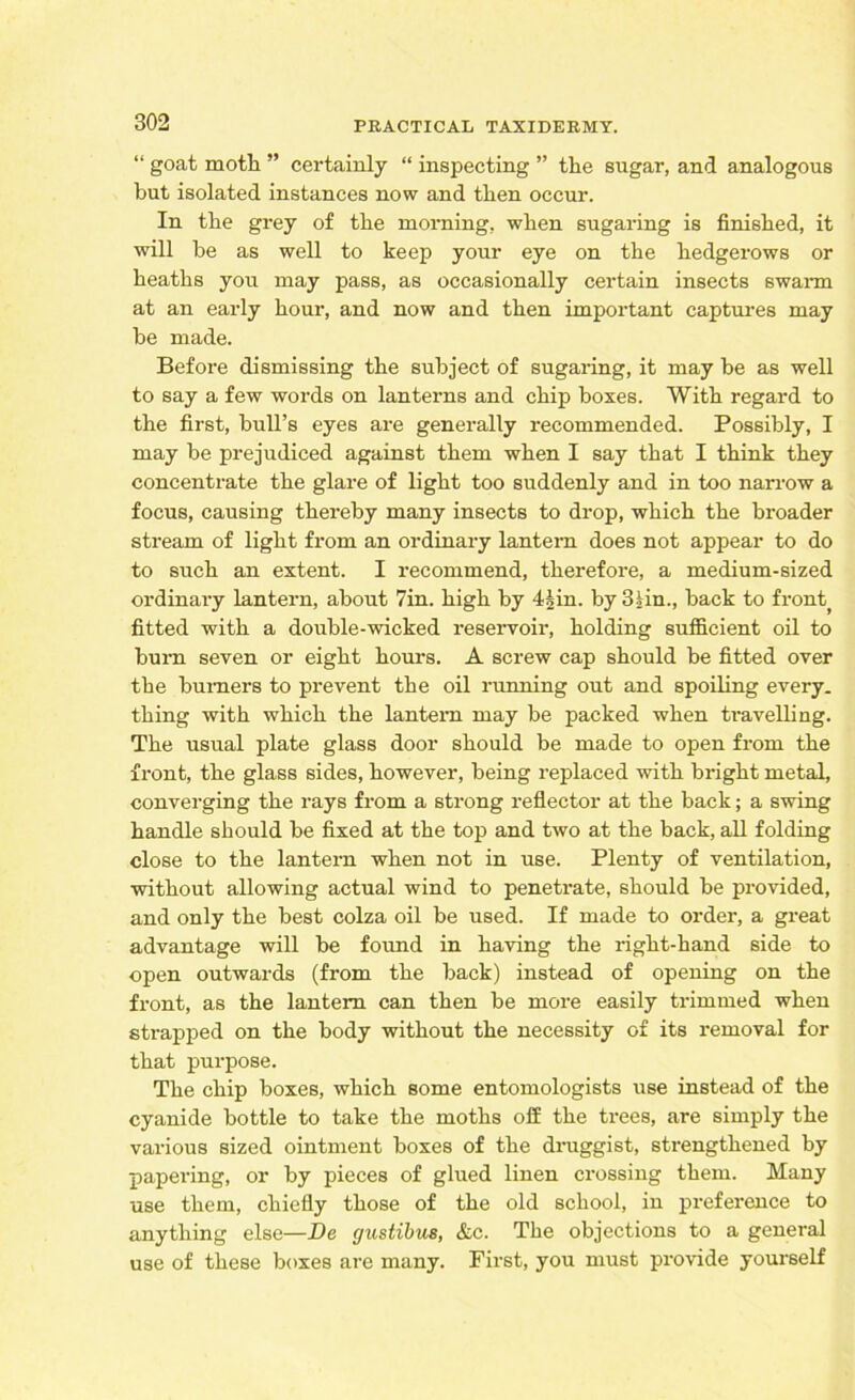 “ goat moth ” certainly “ inspecting ” the sugar, and analogous but isolated instances now and then occur. In the grey of the morning, when sugaring is finished, it will he as well to keep your eye on the hedgerows or heaths you may pass, as occasionally certain insects swarm at an early hour, and now and then important captures may be made. Before dismissing the subject of sugaring, it may be as well to say a few words on lanterns and chip boxes. With regard to the first, bull’s eyes are generally recommended. Possibly, I may be prejudiced against them when I say that I think they concentrate the glare of light too suddenly and in too narrow a focus, causing thereby many insects to drop, which the broader stream of light from an ordinary lantern does not appear to do to such an extent. I recommend, therefore, a medium-sized ordinary lantern, about 7in. high by 41m. by 3lin., hack to front fitted with a double-wicked reservoir, holding sufficient oil to bum seven or eight hours. A screw cap should be fitted over the burners to prevent the oil running out and spoiling every, thing with which the lantern may be packed when travelling. The usual plate glass door should be made to open from the front, the glass sides, however, being replaced with bright metal, converging the rays from a strong reflector at the back; a swing handle should he fixed at the top and two at the back, all folding close to the lantern when not in use. Plenty of ventilation, without allowing actual wind to penetrate, should he provided, and only the best colza oil be used. If made to order, a great advantage will be found in having the right-hand side to open outwards (from the back) instead of opening on the front, as the lantern can then be more easily trimmed when strapped on the body without the necessity of its removal for that purpose. The chip boxes, which some entomologists use instead of the cyanide bottle to take the moths off the trees, are simply the various sized ointment boxes of the druggist, strengthened by papering, or by pieces of glued linen crossing them. Many use them, chiefly those of the old school, in preference to anything else—De cjustibus, &c. The objections to a general use of these boxes are many. First, you must provide yourself