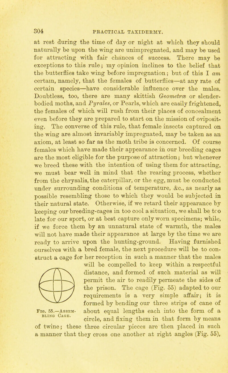 at rest during the time of day or night at which they should naturally be upon the wing are unimpregnated, and may be used for attracting with fair chances of success. There may be exceptions to this rule; my opinion inclines to the belief that the butterflies take wing before impregnation; but of this I am certain, namely, that the females of butterflies—at any rate of certain species—have considerable influence over the males. Doubtless, too, there are many skittish Geometrce or slender- bodied moths, and Pyrales, or Pearls, which are easily frightened, the females of which will rush from their places of concealment even before they are prepared to start on the mission of oviposit- ing. The converse of this rule, that female insects captured on the wing are almost invariably impregnated, may be taken as an axiom, at least so far as the moth tribe is concerned. Of course females which have made their appearance in our breeding cages are the most eligible for the purpose of attraction; but whenever we breed these with the intention of using them for attracting, we must bear well in mind that the rearing process, whether from the chrysalis, the caterpillar, or the egg, must be conducted under surrounding conditions of temperature, &c., as nearly as possible resembling those to which they would be subjected in their natural state. Otherwise, if we retard their appearance by keeping our breeding-cages in too cool a situation, we shall be too late for our sport, or at best capture only worn specimens; while, if we force them by an unnatural state of warmth, the males will not have made their appearance at large by the time we are ready to arrive upon the hunting-ground. Having furnished ourselves with a bred female, the next procedure will be to con- struct a cage for her reception in such a manner that the males will be compelled to keep within a respectful distance, and formed of such material as will permit the air to readily permeate the sides of the prison. The cage (Dig. 55) adapted to our requirements is a very simple affair; it is formed by bending our three strips of cane of about equal lengths each into the form of a circle, and fixing them in that form by means of twine; these three circular pieces are then placed in such a manner that they cross one another at right angles (Fig. 55), Fio. 55.—Assem- bling Cage.