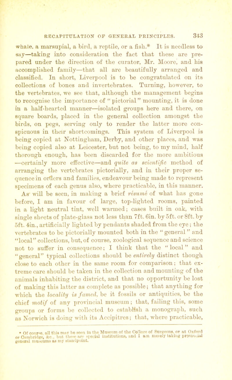 whale, a marsupial, a bird, a reptile, or a fish.* It is needless to say—taking into consideration the fact that these are pre- pared under the direction of the curator, Mr. Moore, and his accomplished family—that all are beautifully arranged and classified. In short, Liverpool is to be congratulated on its collections of bones and invertebrates. Turning, however, to the vertebrates, we see that, although the management begins to recognise the importance of “pictorial” mounting, it is done in a half-hearted manner—isolated groups here and there, on square boards, placed in the general collection amongst the birds, on pegs, serving only to render the latter more con- spicuous in their shortcomings. This system of Liverpool is being copied at Nottingham, Derby, and other places, and was being copied also at Leicester, but not being, to my mind, half thorough enough, has been discarded for the more ambitious —certainly more effective—and quite as scientific method of arranging the vertebrates pictorially, and in their proper se- quence in orders and families, endeavour being made to represent specimens of each genus also, where practicable, in this manner. As will be seen, in making a brief resume of what has gone before, I am in favour of large, top-lighted rooms, painted in a light neutral tint, well warmed; cases built in oak, with single sheets of plate-glass not less than 7ft. 6in. by 5ft. or 8ft. by 5ft. 4in., artificially lighted by pendants shaded from the eye; the vertebrates to be pictorially mounted both in the “ general ” and “local” collections, but, of course, zoological sequence and science not to suffer in consequence; I think that the “ local ” and “general” typical collections should be entirely distinct though close to each other in the same room for comparison; that ex- treme care should be taken in the collection and mounting of the animals inhabiting the district, and that no opportunity be lost of making this latter as complete as possible; that anything for which the locality is famed, be it fossils or antiquities, be the chief motif of any provincial museum; that, failing this, some groups or forms be collected to establish a monograph, Buch as Norwich is doing with its Accipitres; that, where practicable, • Of course all this mat he seen in the Museum of the Collego of Surgeons, or at Oxford or Cambridge’, Sco . hut these are special institutions, and I am merely taking provincial generai museums as my standpoint.