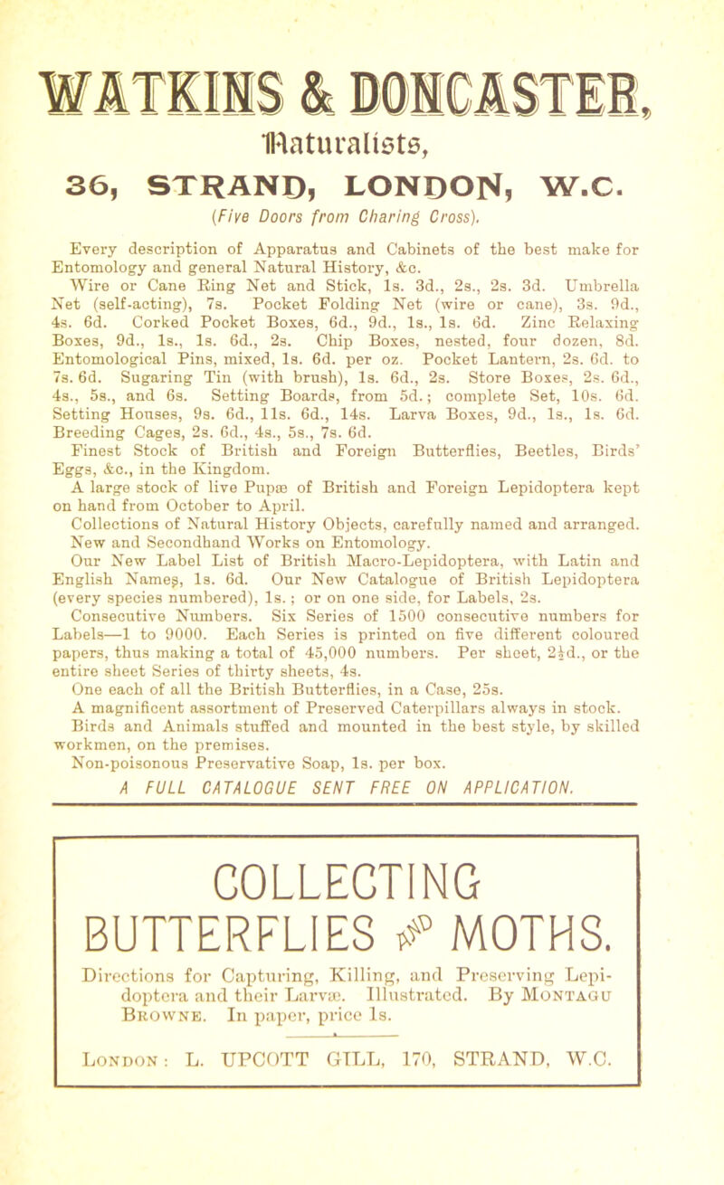 36, IRaturalists, STRAND, LONDON, W.C. (Five Doors from Charing Cross). Every description of Apparatus and Cabinets of the best make for Entomology and general Natural History, &c. Wire or Cane Eing Net and Stick, Is. 3d., 2s., 2s. 3d. Umbrella Net (self-acting), 7s. Pocket Folding Net (wire or cane), 3s. 9d., 4s. 6d. Corked Pocket Boxes, 6d., 9d., Is., Is. 6d. Zinc Eelaxing Boxes, 9d., Is., Is. 6d., 2s. Chip Boxes, nested, four dozen, 8d. Entomological Pins, mixed, Is. 6d. per oz. Pocket Lantern, 2s. 6d. to 7s. 6d. Sugaring Tin (with brush), Is. 6d., 2s. Store Boxes, 2s. 6d., 4s., 5s., and 6s. Setting Boards, from 5d.; complete Set, 10s. 6d. Setting Houses, 9s. 6d., 11s. 6d., 14s. Larva Boxes, 9d., Is., Is. 6d. Breeding Cages, 2s. 6d., 4s., 5s., 7s. 6d. Finest Stock of British and Foreign Butterflies, Beetles, Birds’ Eggs, &c., in the Kingdom. A large stock of live Pup® of British and Foreign Lepidoptera kept on hand from October to April. Collections of Natural History Objects, carefully named and arranged. New and Secondhand Works on Entomology. Our New Label List of British Macro-Lepidoptera, with Latin and English Nameg, Is. 6d. Our New Catalogue of British Lepidoptera (every species numbered), Is.; or on one side, for Labels, 2s. Consecutive Numbers. Six Series of 1500 consecutive numbers for Labels—1 to 9000. Each Series is printed on five different coloured papers, thus making a total of 45,000 numbers. Per sheet, 2|d., or the entire sheet Series of thirty sheets, 4s. One each of all the British Butterflies, in a Case, 25s. A magnificent assortment of Preserved Caterpillars always in stock. Birds and Animals stuffed and mounted in the best style, by skilled workmen, on the premises. Non-poisonous Preservative Soap, Is. per box. A FULL CATALOGUE SENT FREE ON APPLICATION. COLLECTING BUTTERFLIES # MOTHS. Directions for Capturing, Killing, and Preserving Lepi- doptera and their Larva.'. Illustrated. By Montagu Browne. In paper, price Is. » London: L. UPCOTT GILL, 170, STRAND, W.C.