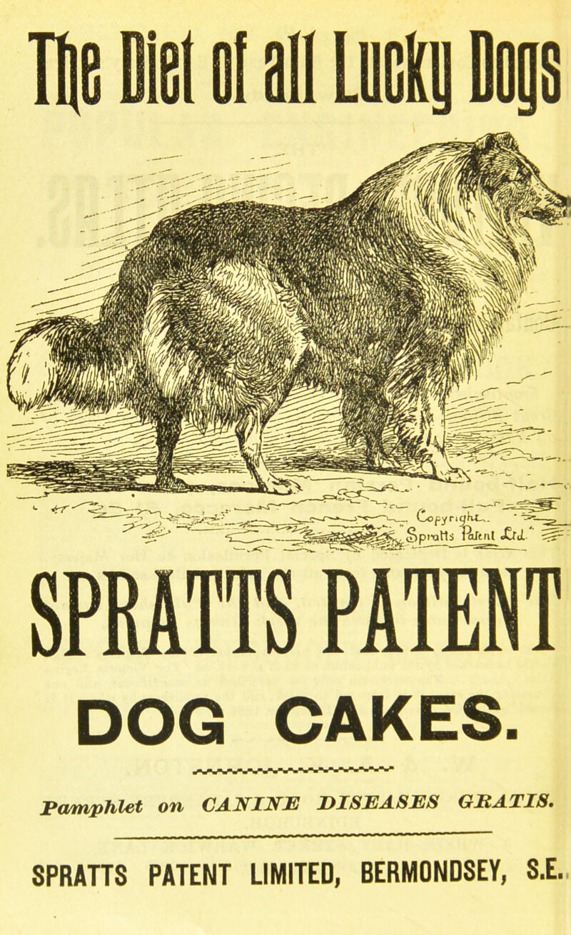 DOG CAKES. Ea/mphlot OTi CANINE DISEASES GRATIS• SPRATTS PATENT LIMITED, BERMONDSEY, S.E.